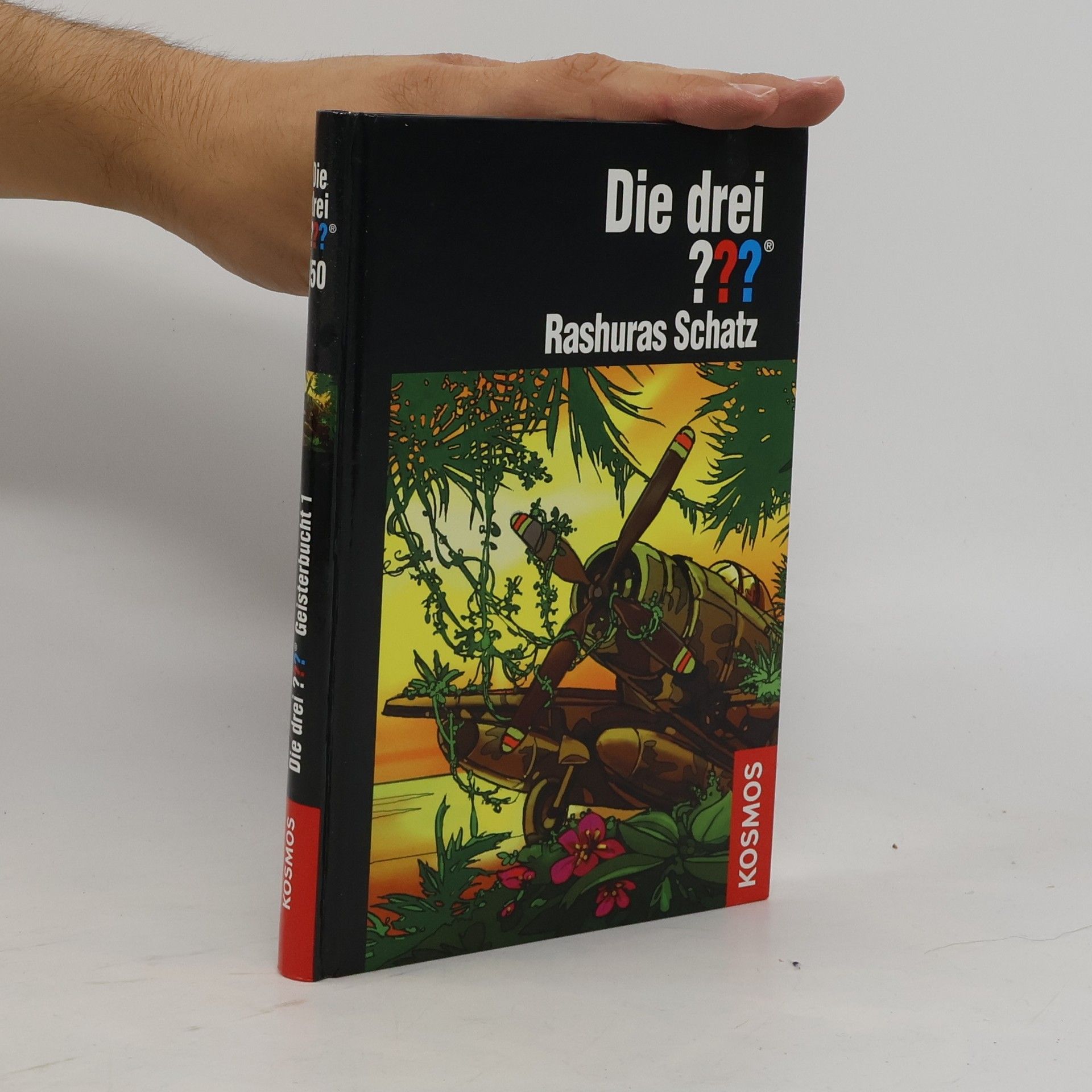 Rashuras Schatz Die drei??? Rashuras Schatz