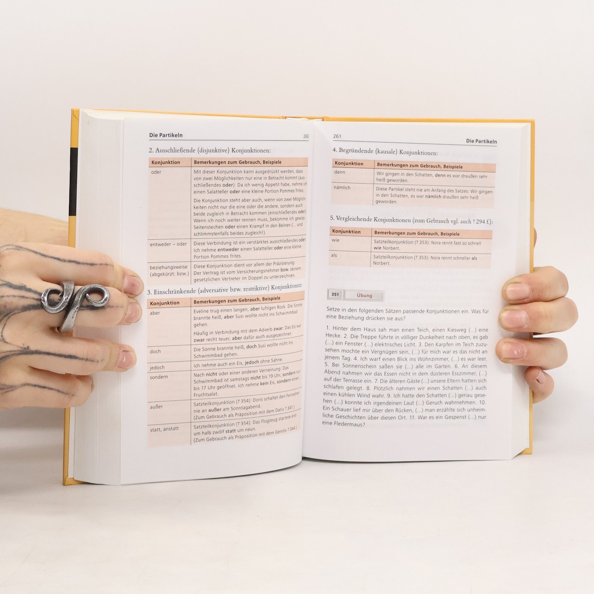 Peter Gallmann Schülerduden, Grammatik