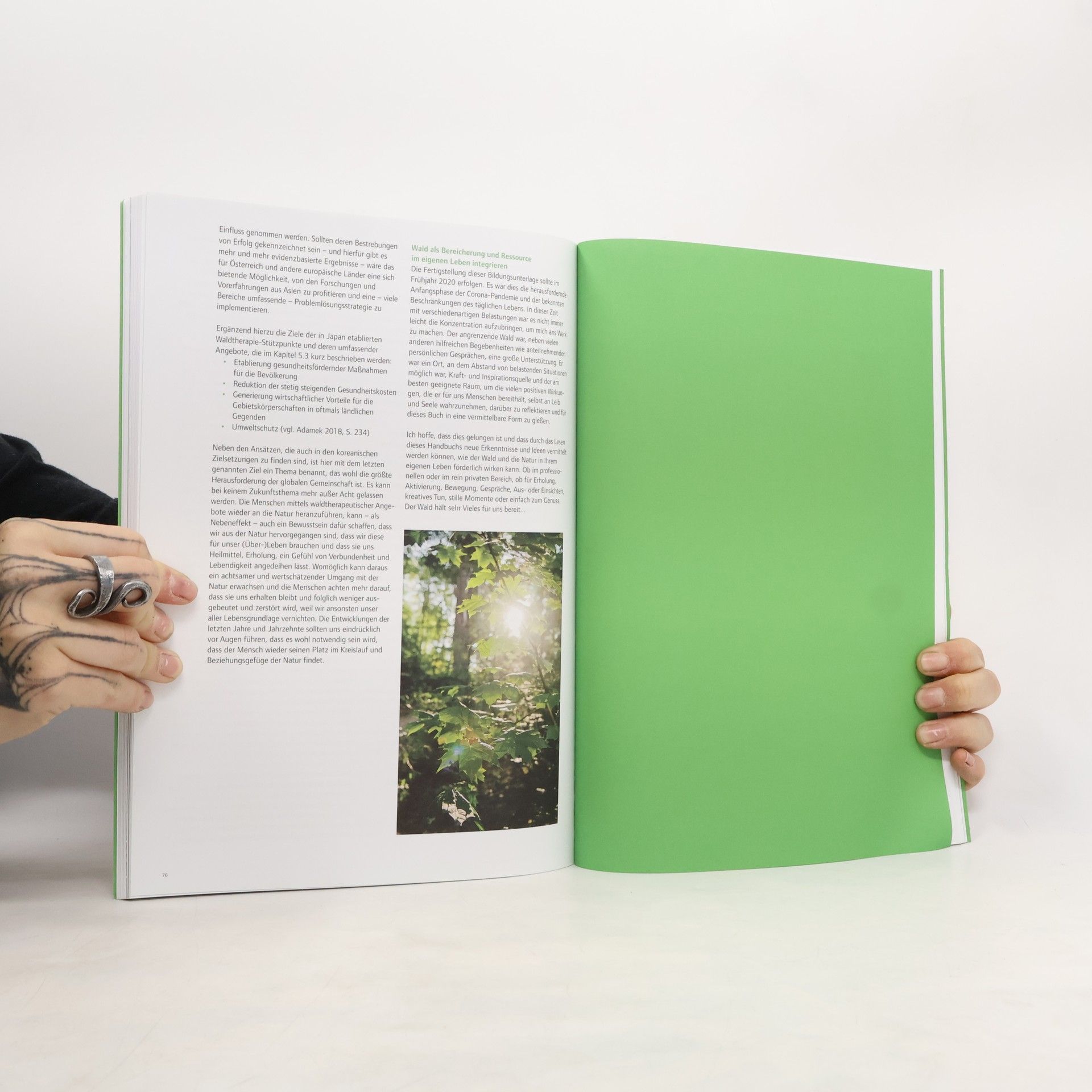 Stefan Lirsch (Co-)Therapeut Wald