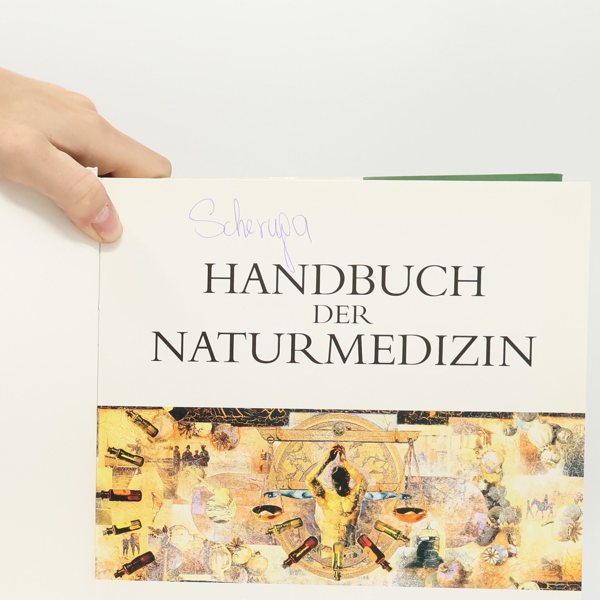 Nikki Bradford Handbuch der Naturmedizin