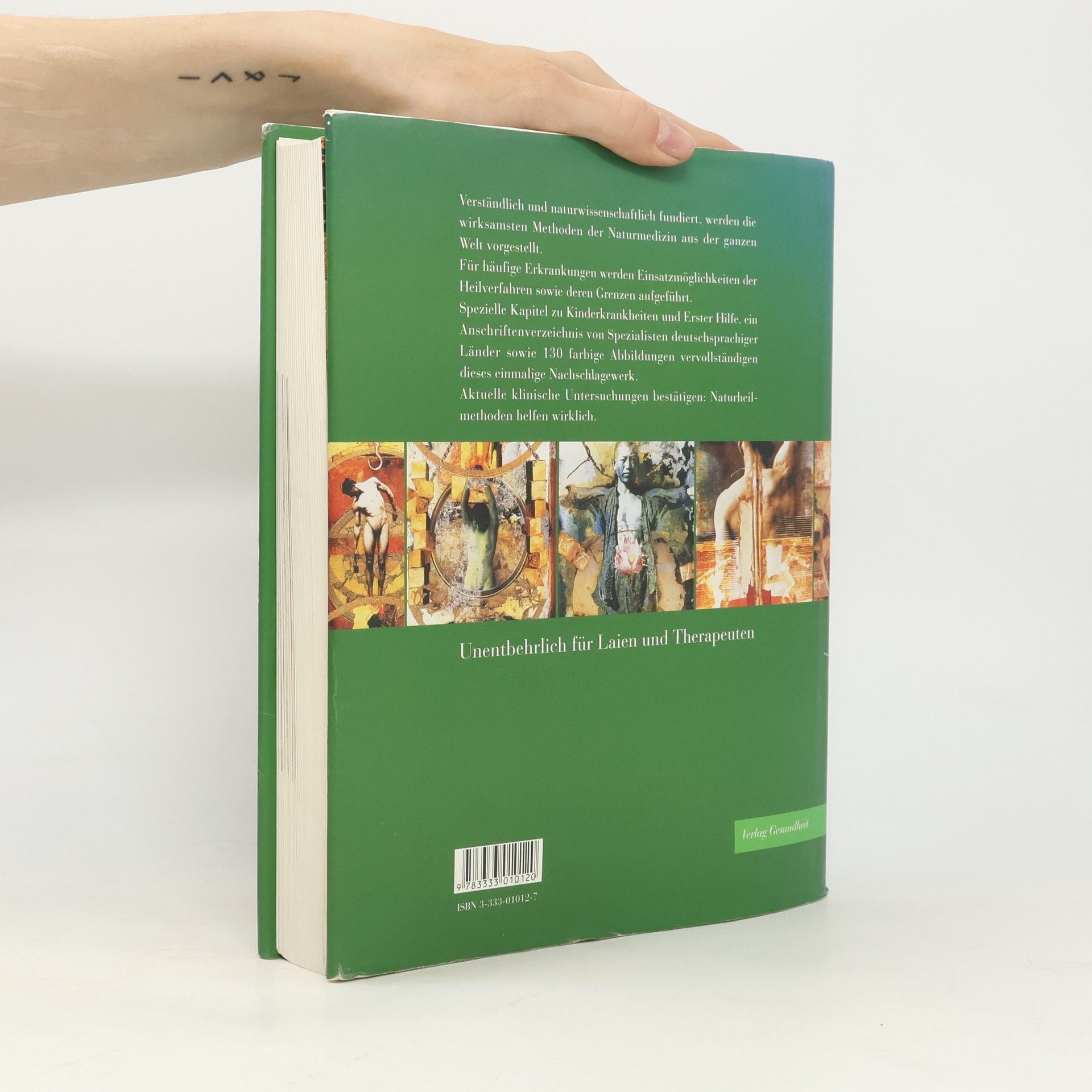 Nikki Bradford Handbuch der Naturmedizin