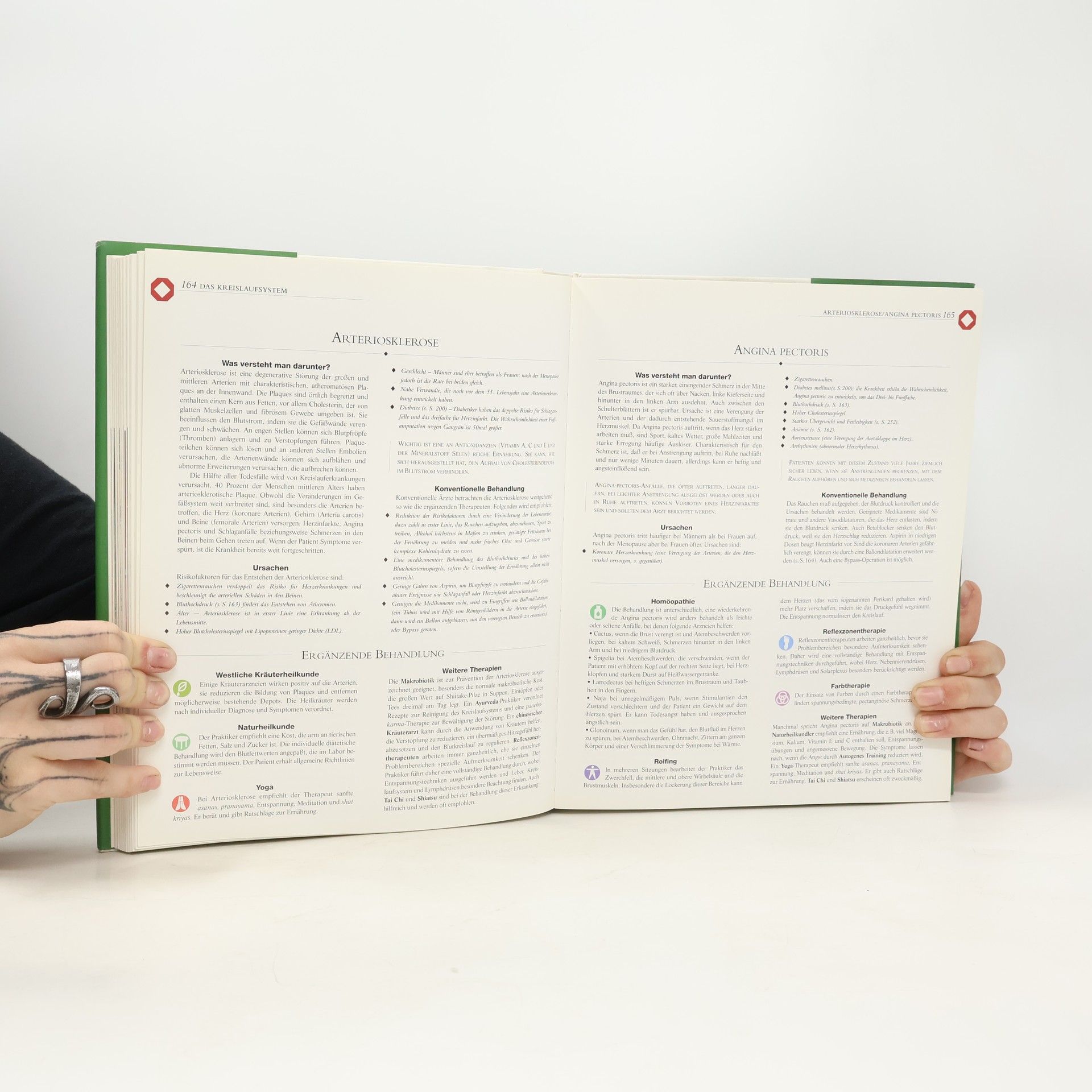 Nikki Bradford Handbuch der Naturmedizin