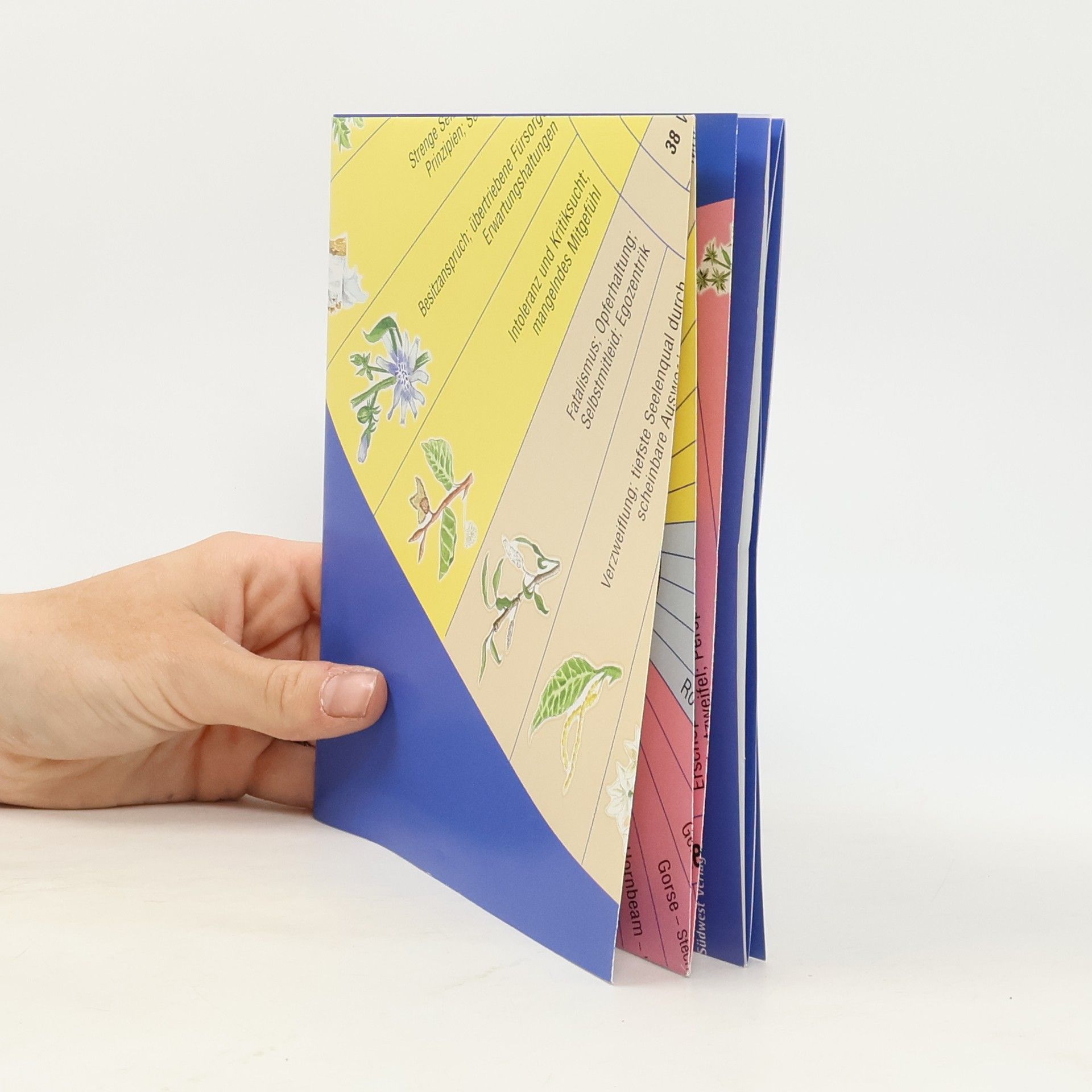 Anna Elisabeth Röcker Die Bach-Blüten-Hausapotheke