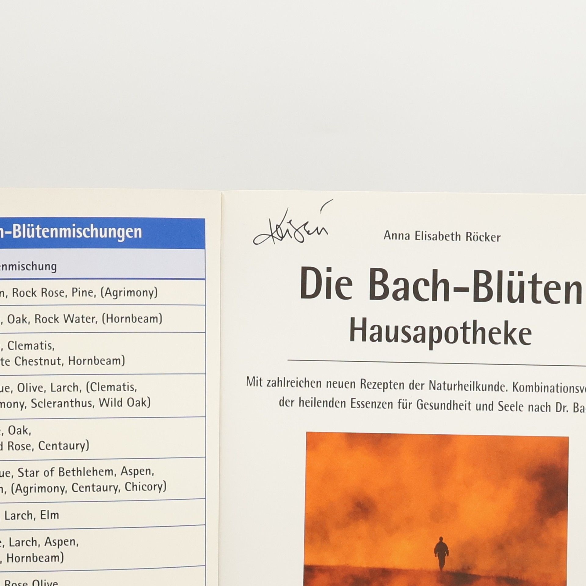 Anna Elisabeth Röcker Die Bach-Blüten-Hausapotheke