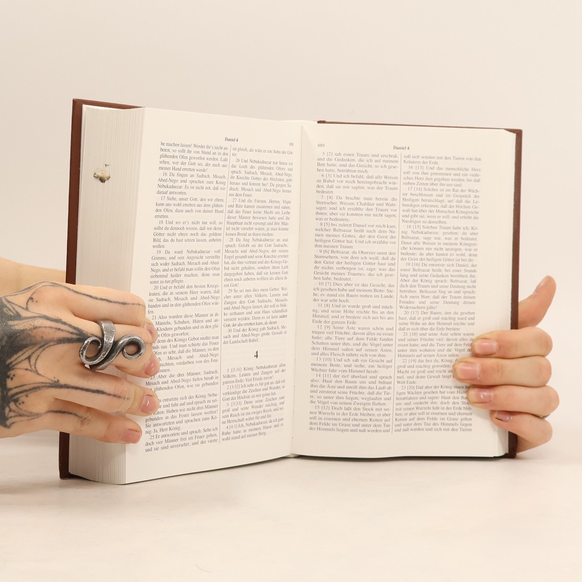 Autorenkollektiv Die Bibel