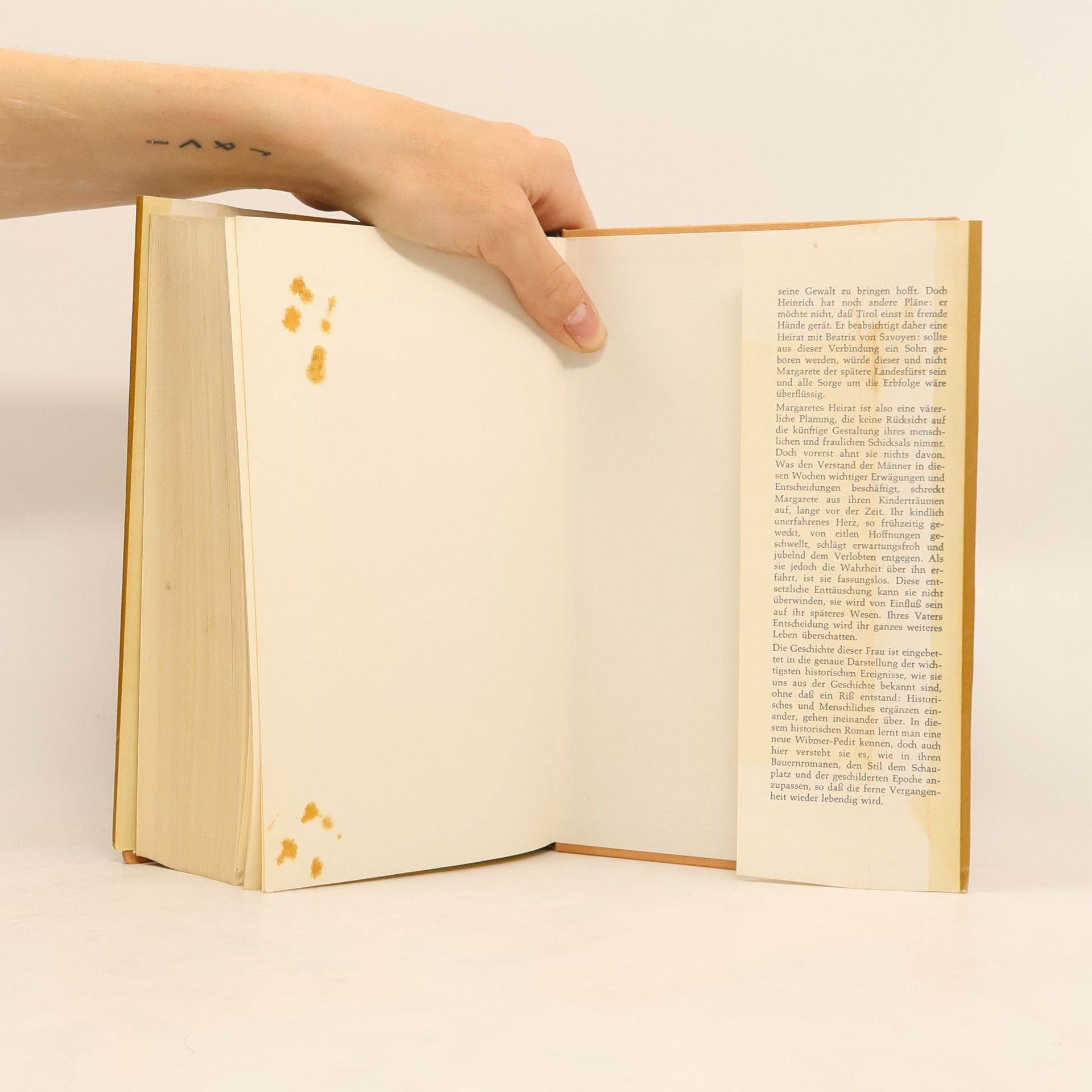 F. Wimber-Pedit Margarette Maultasch