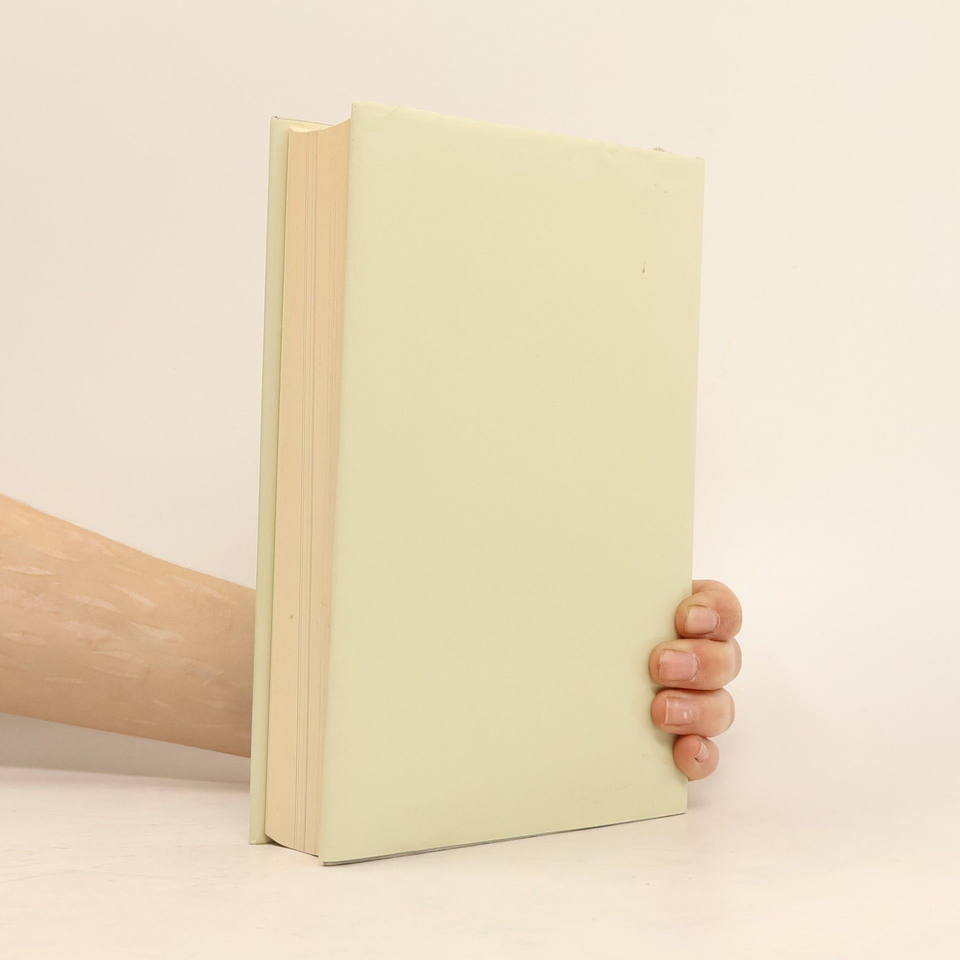 Various authors Im Spiegel der Zelt