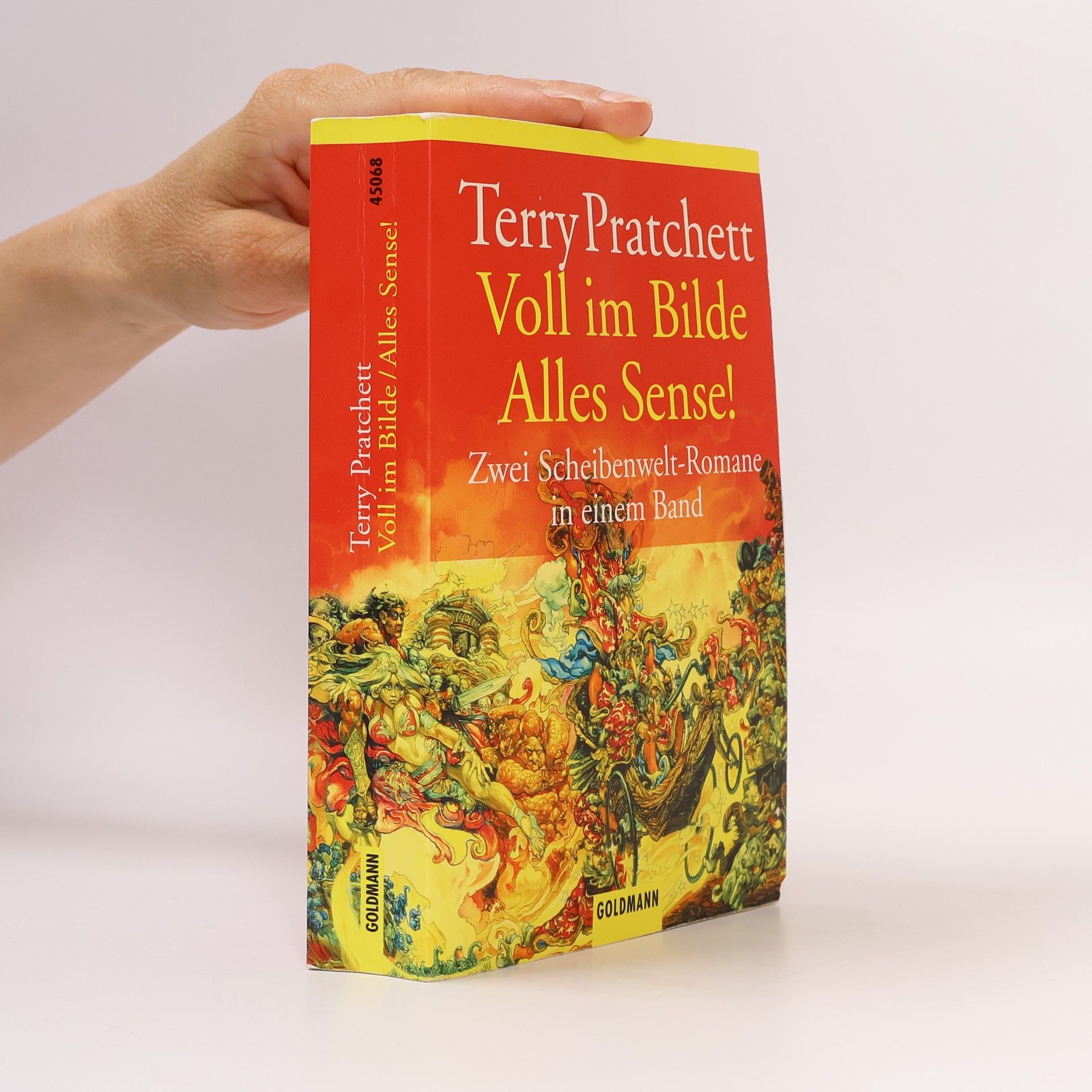 Terry Pratchett Voll im Bilde