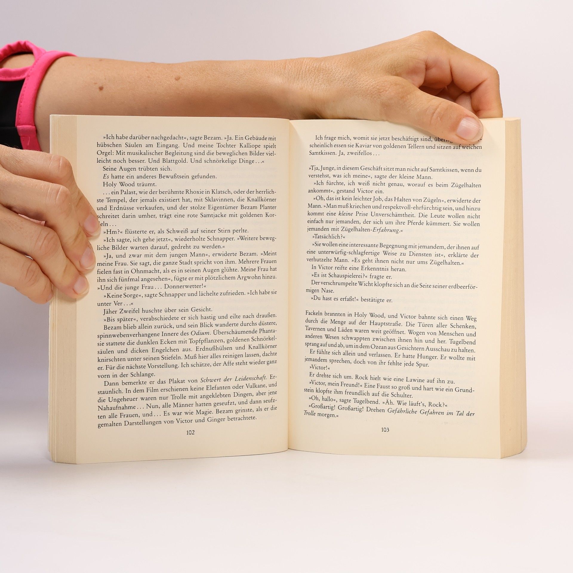 Terry Pratchett Voll im Bilde