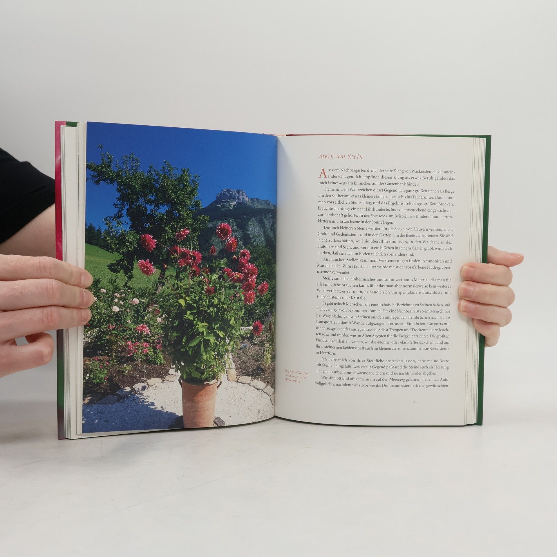 Barbara Frischmuth Marder, Rose, Fink und Laus