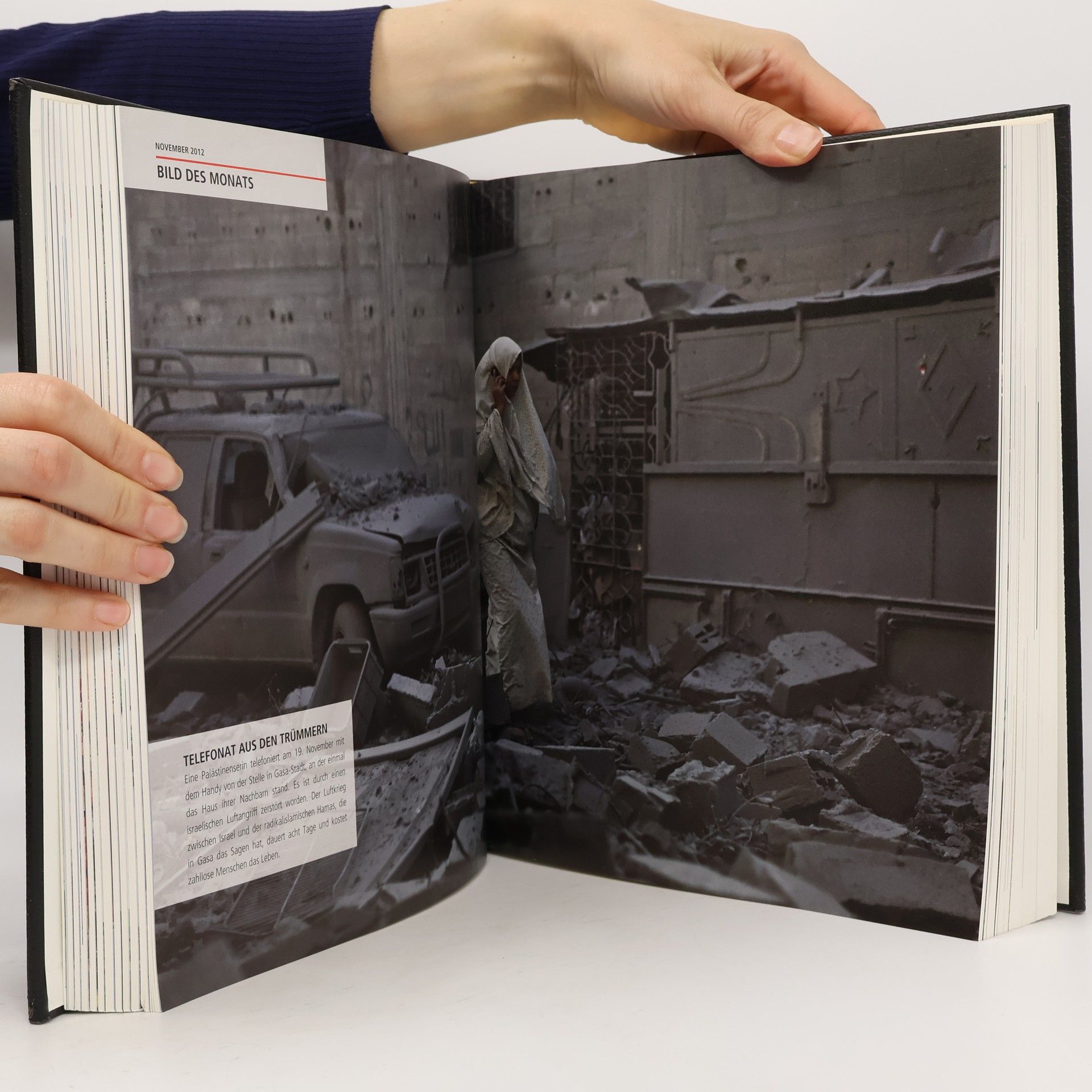 Brigitte Beier Brockhaus Chronik des Jahrhunderts 2012