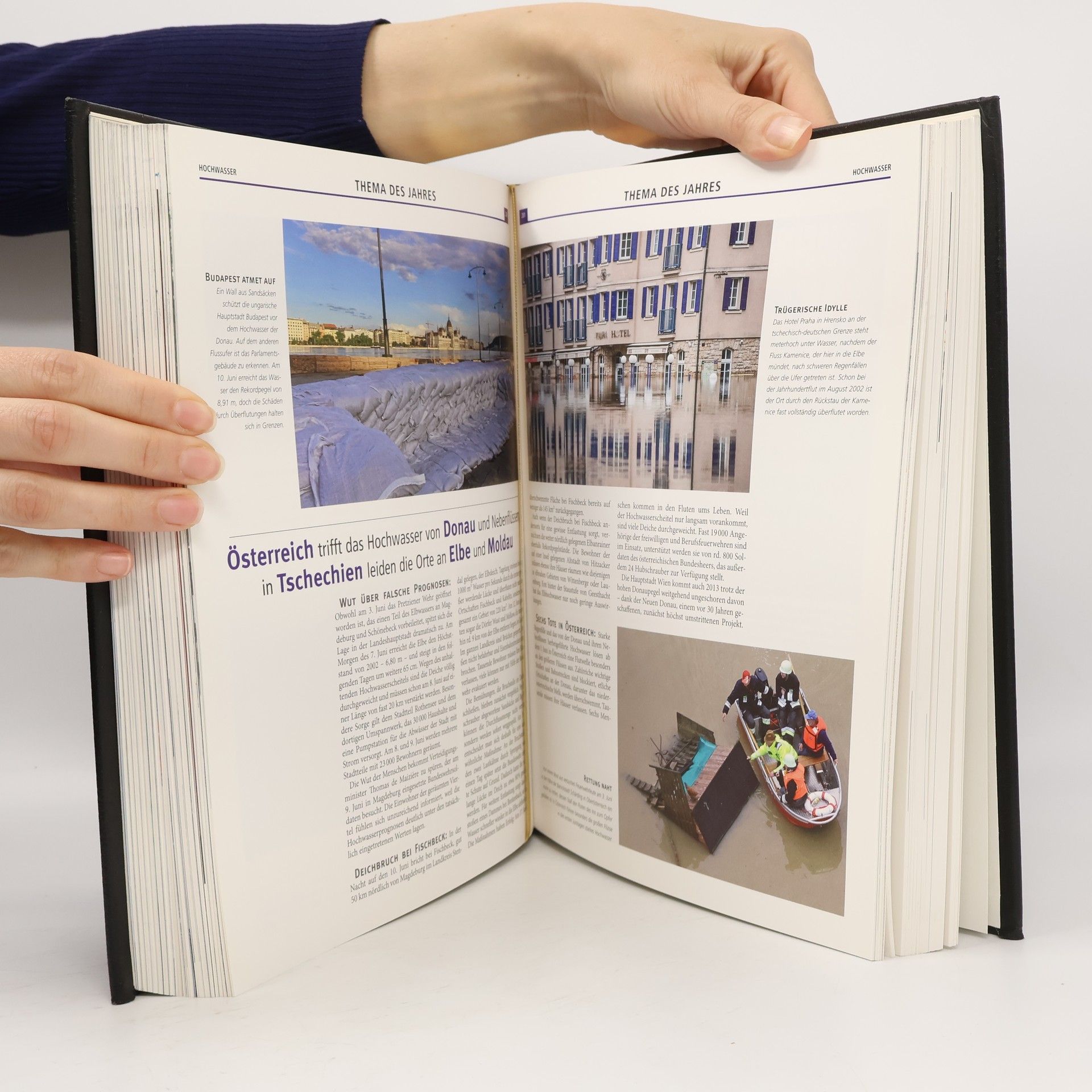 Brigitte Beier Brockhaus Chronik des Jahrhunderts 2013