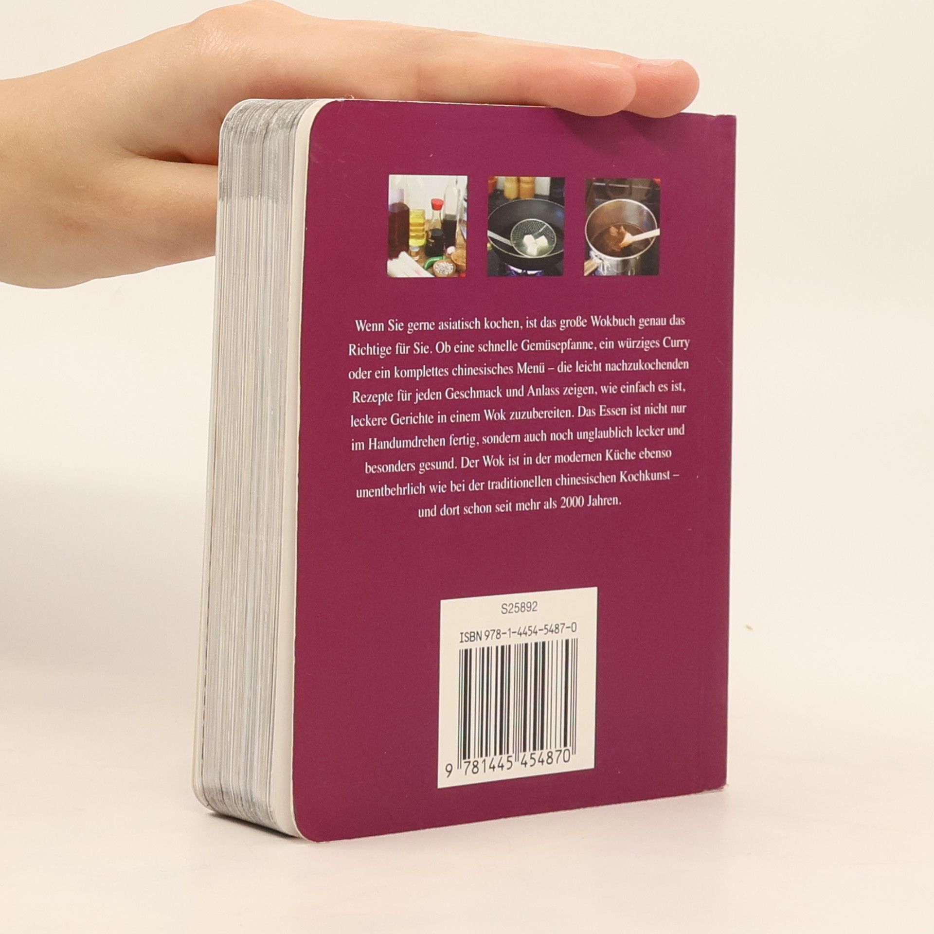 Auteurscollectief Das große Wokbuch