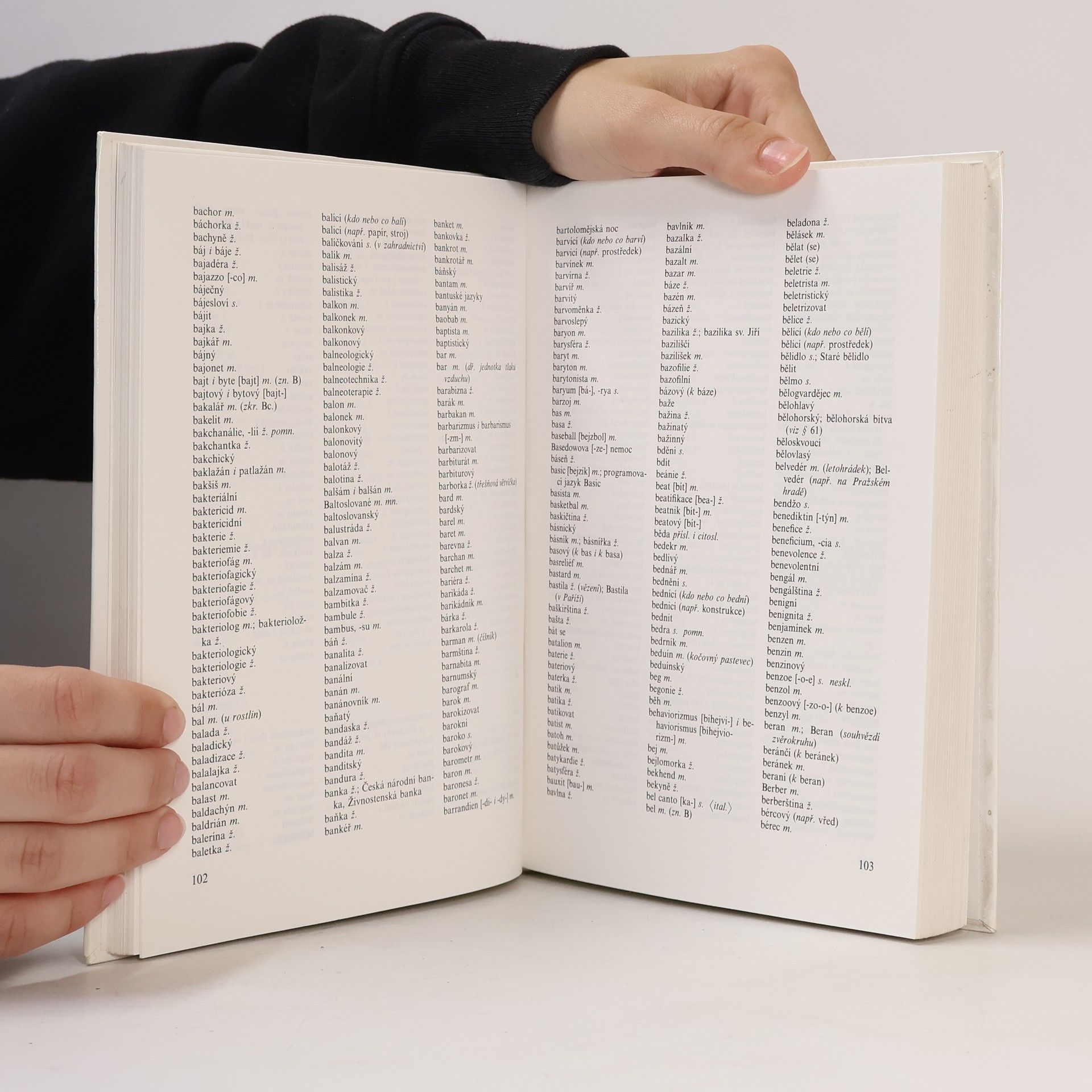 Auteurscollectief Akademická pravidla Českého pravopisu