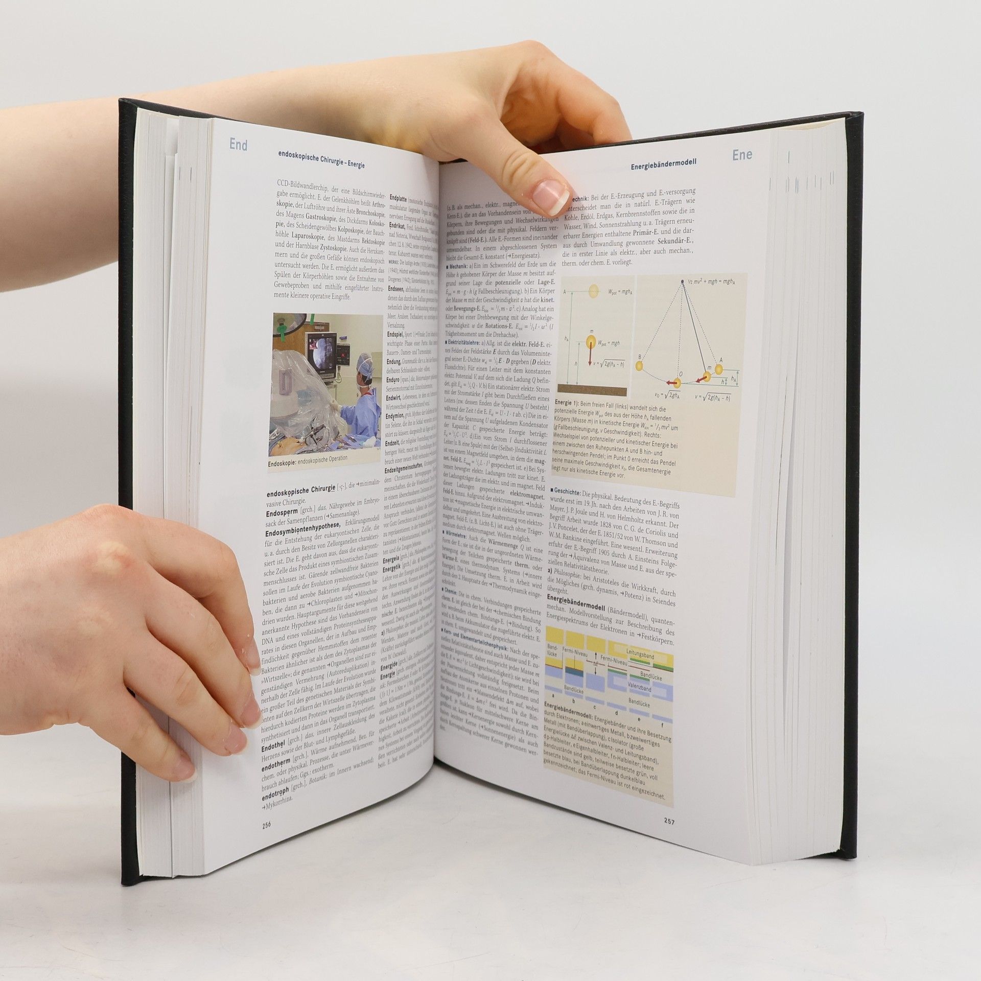 Autorenkollektiv Brockhaus 3 DISQ-FRUC
