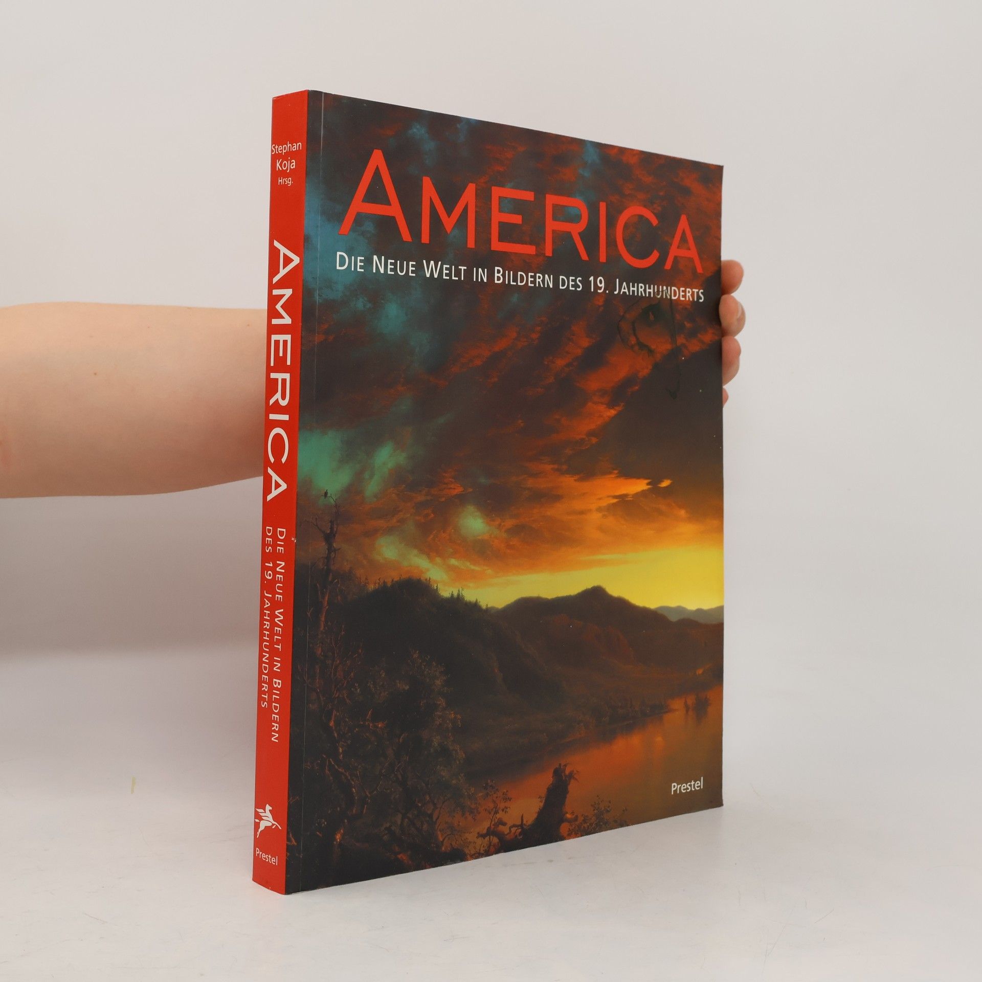 Stephan Koja America