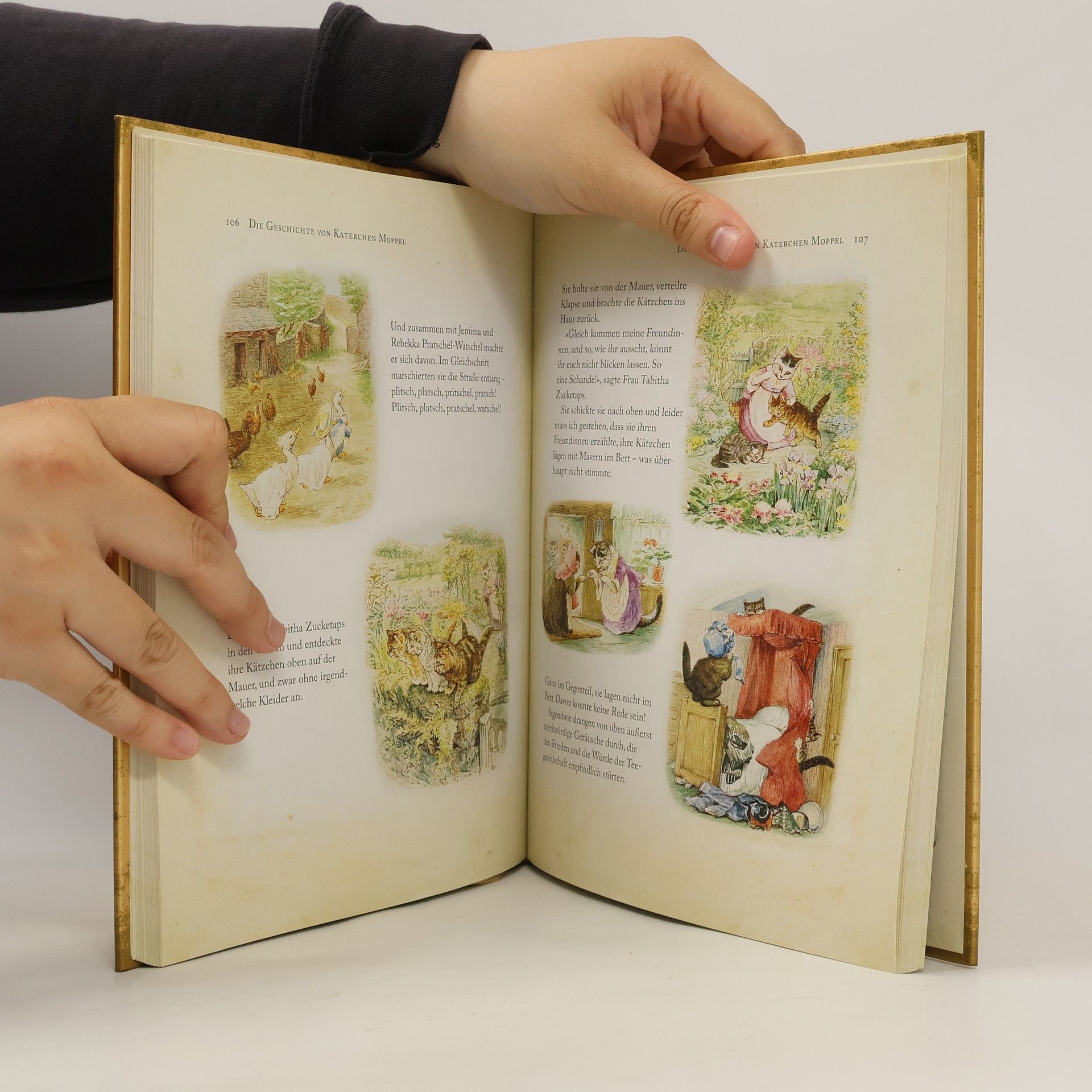 Beatrix Potter Peter Hase und seine Freunde
