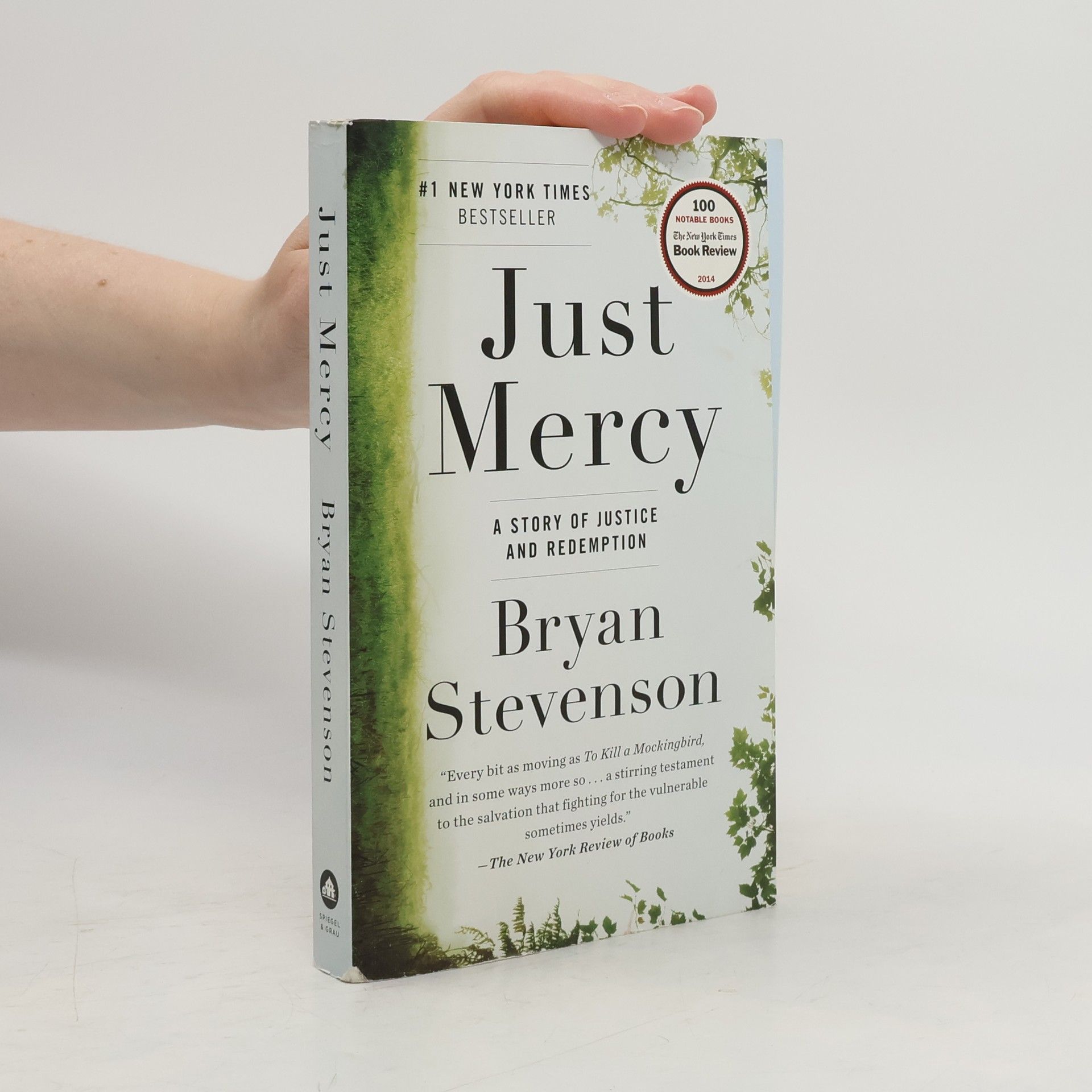 Bryan Stevenson Just mercy
