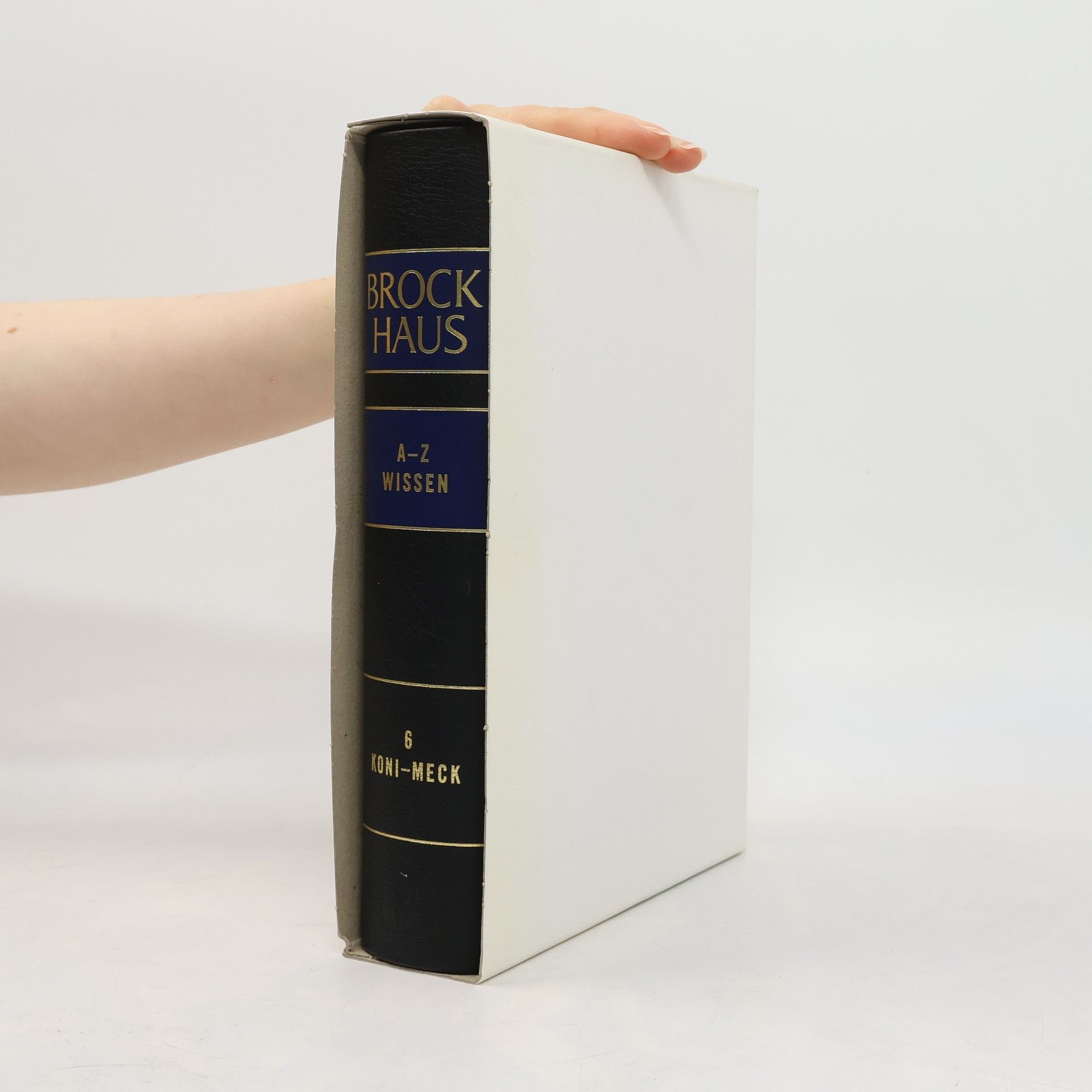 Kolektiv autorů Brockhaus 6 Koni-Meck