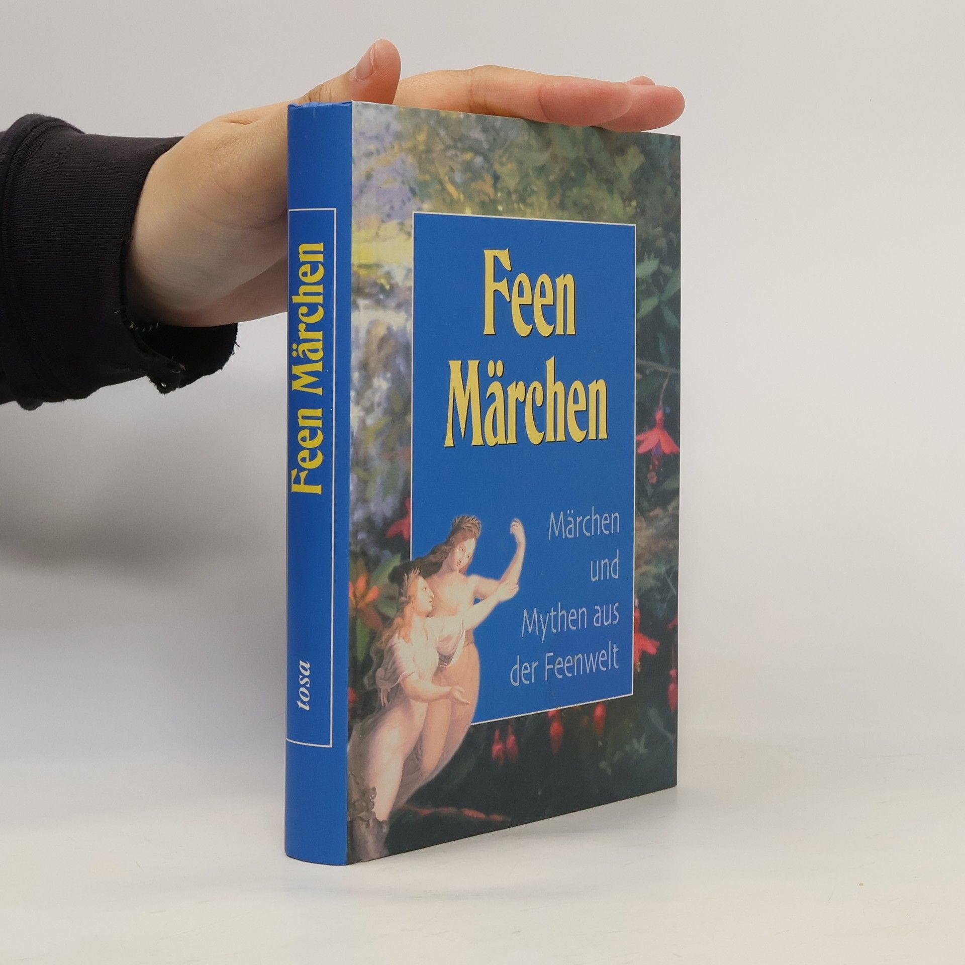 Autorenkollektiv Feen-Märchen