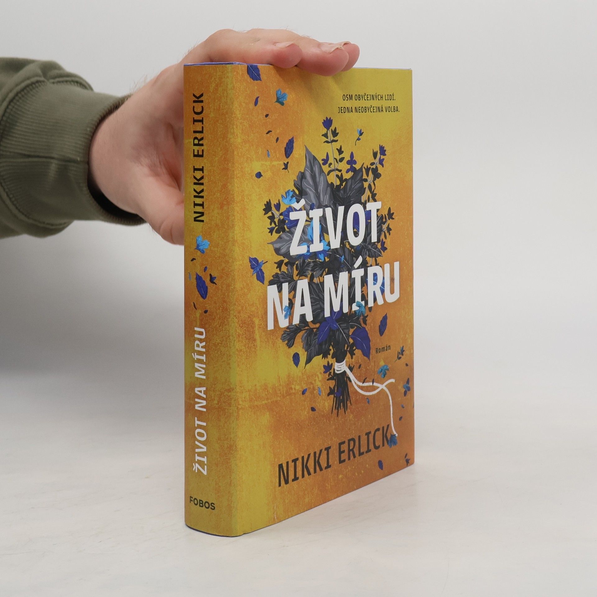 Nikki Erlick Život na míru