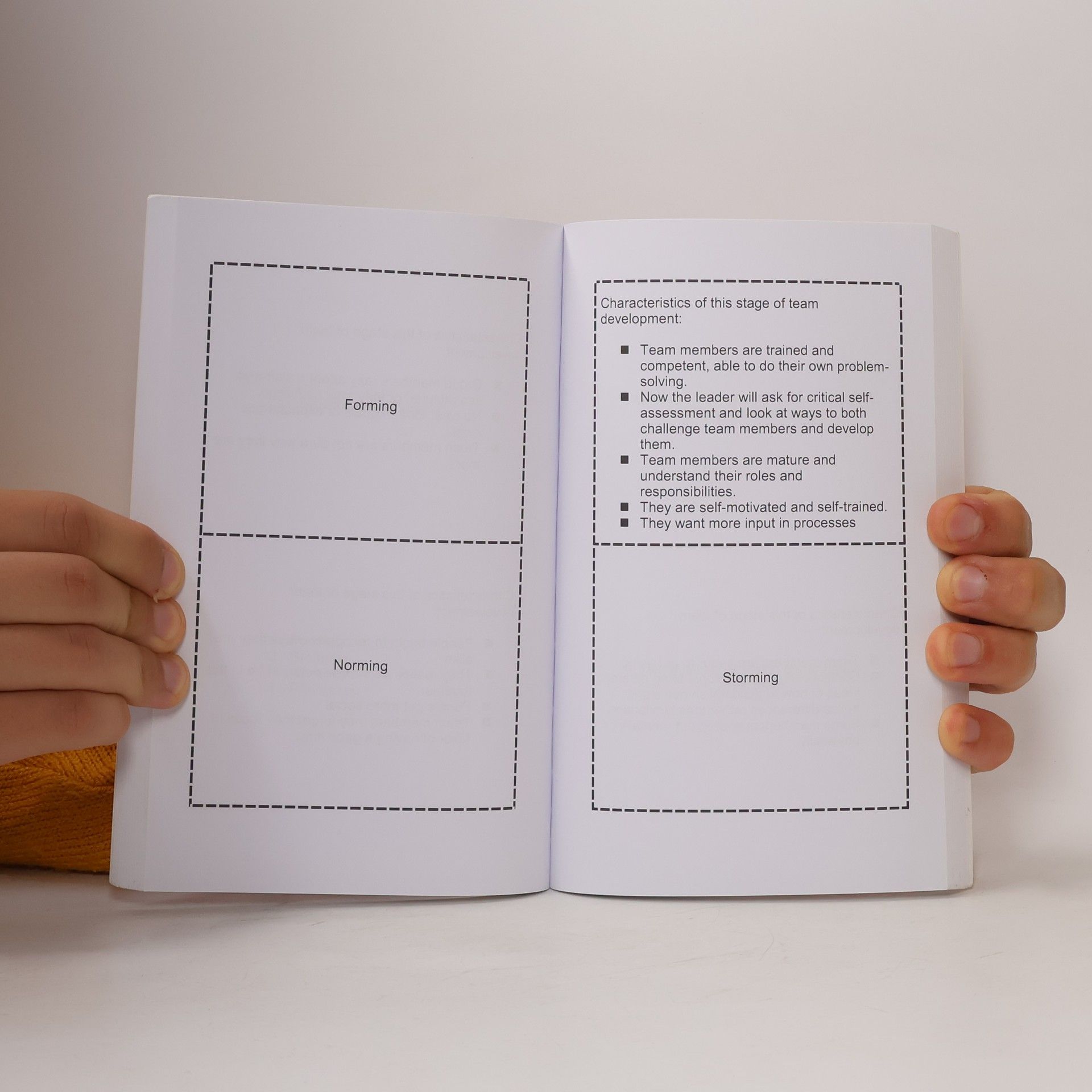 Al S. Smith Jr. The PM Instructors Self-Study Series: PMI-ACP Self-Study Flash Cards