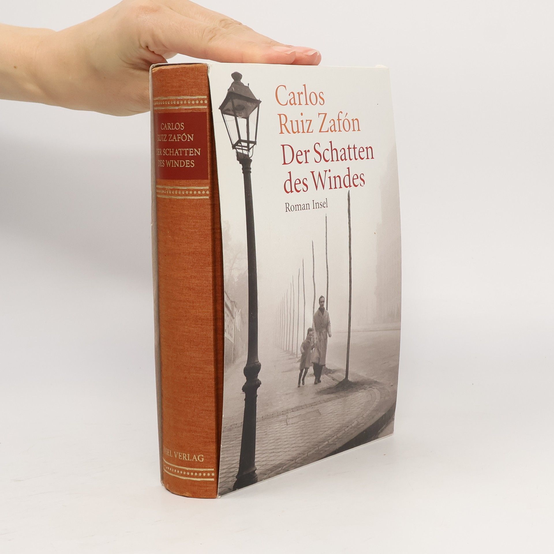 Carlos Ruiz Zafón Der Schatten des Windes