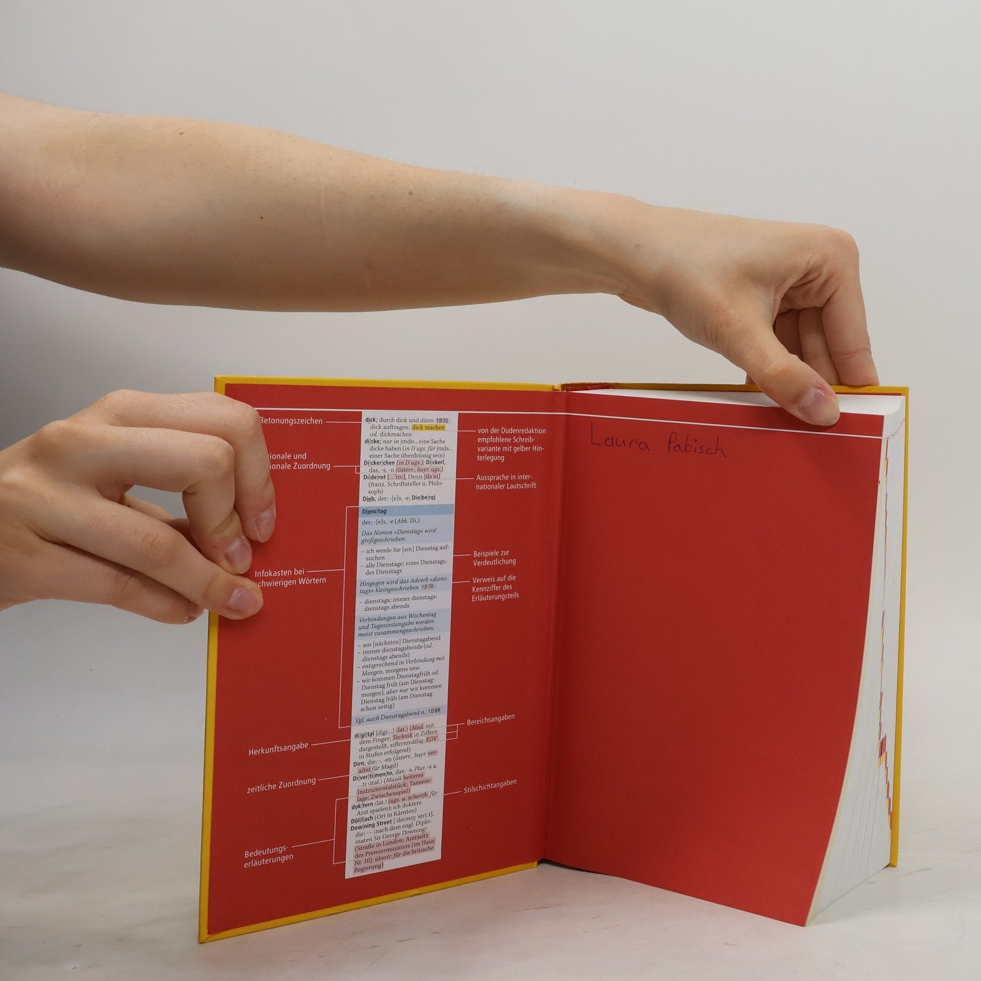 Kolektiv autorů Das große österreichische Schulwörterbuch