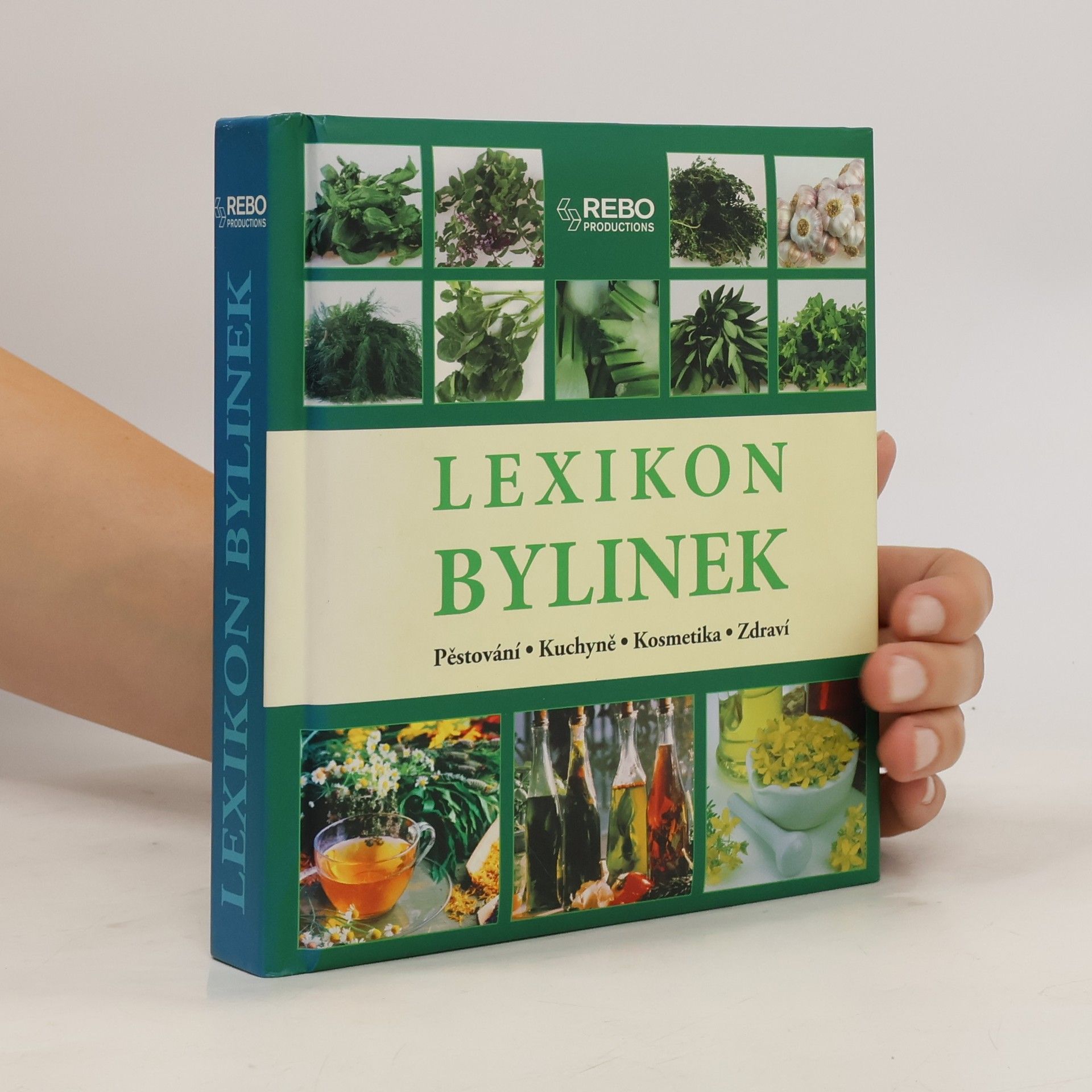 Andrea Rausch Lexikon bylinek