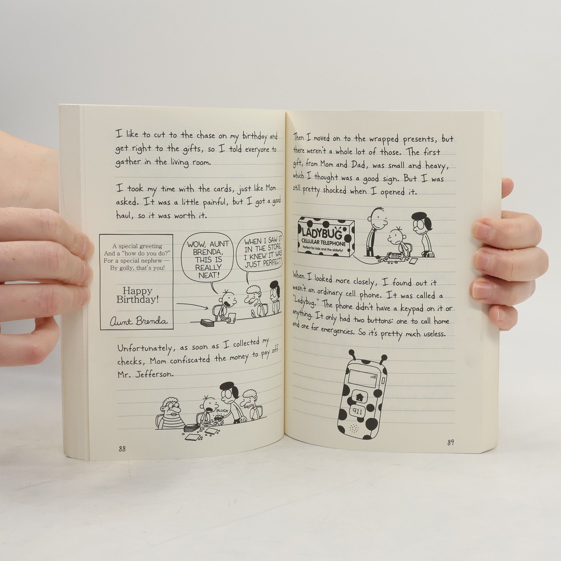 Jeff Kinney Diary of a Wimpy Kid - 4: Dog Days