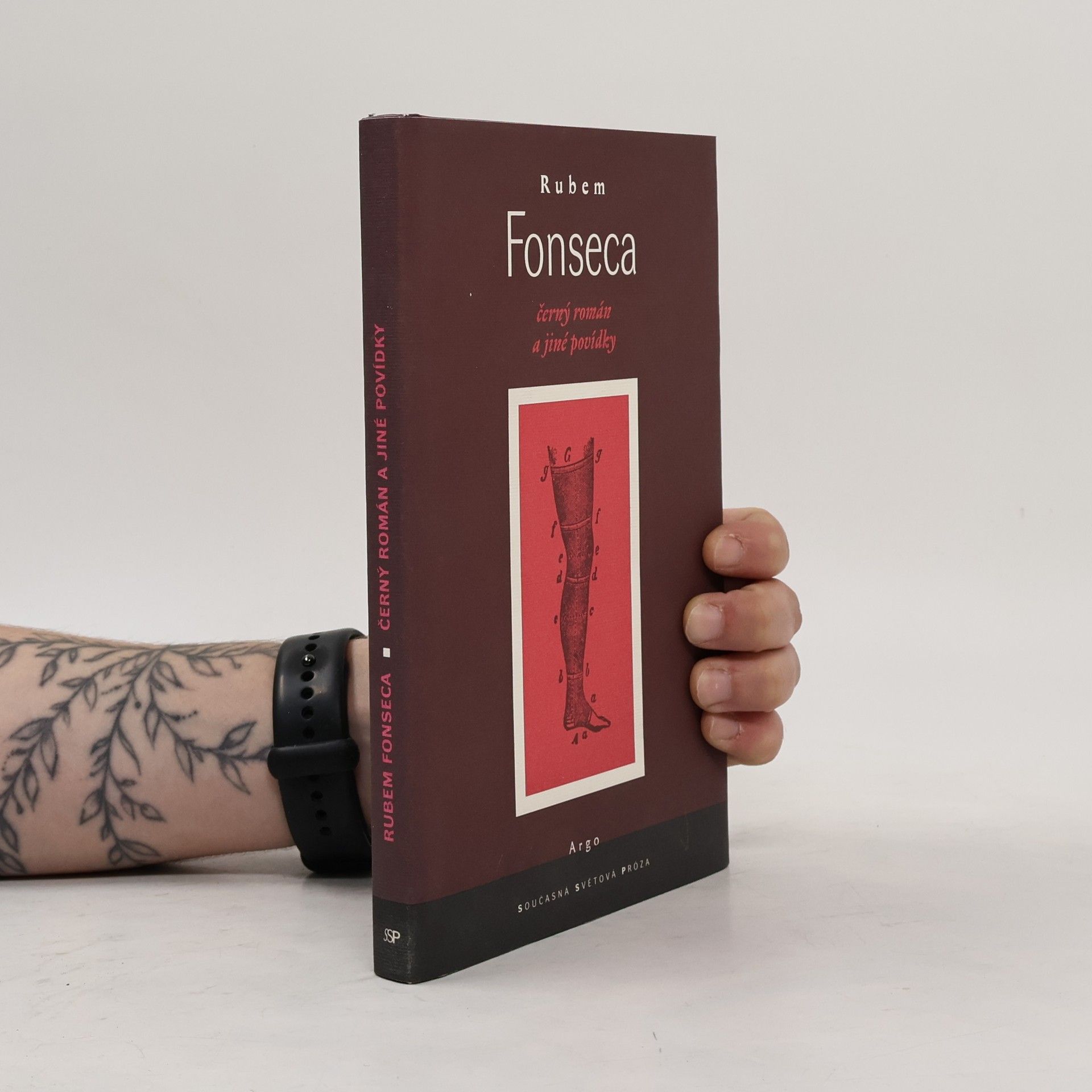 Rubem Fonseca Černý román a jiné povídky