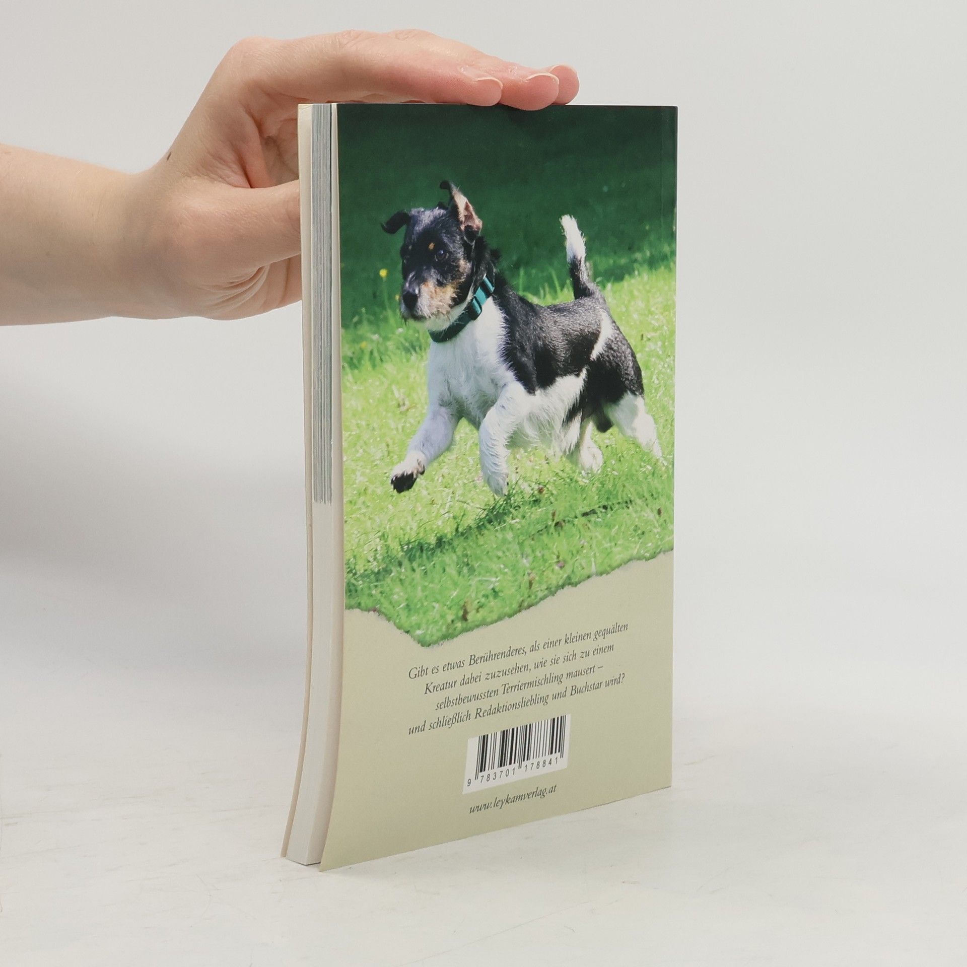 Susi Biró Felix. Aus dem Tagebuch eines Terriers