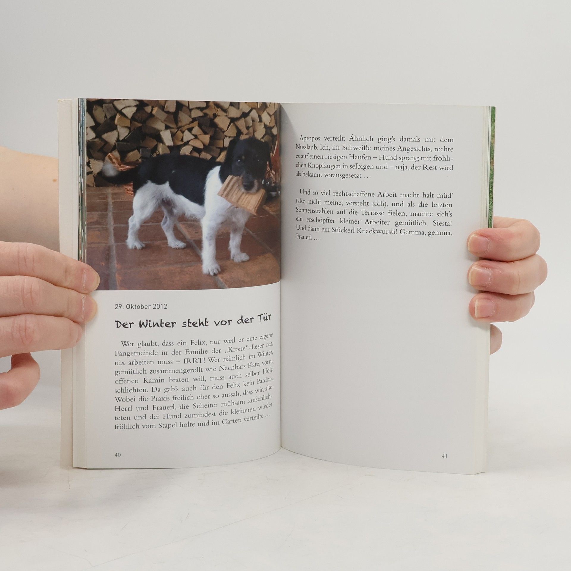 Susi Biró Felix. Aus dem Tagebuch eines Terriers
