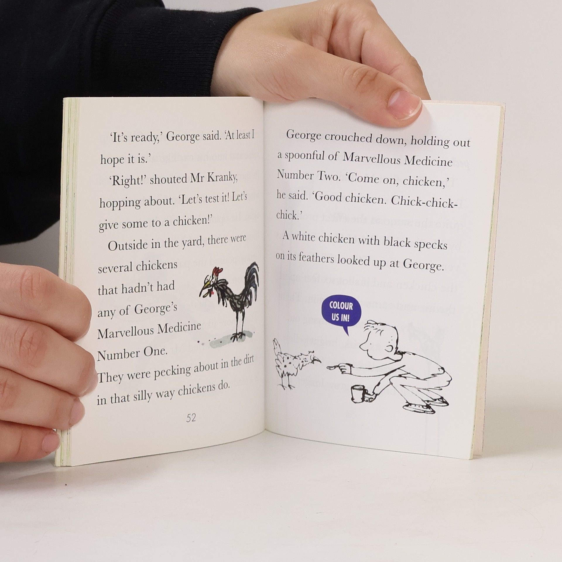 Roald Dahl Marvellous Magical Animals
