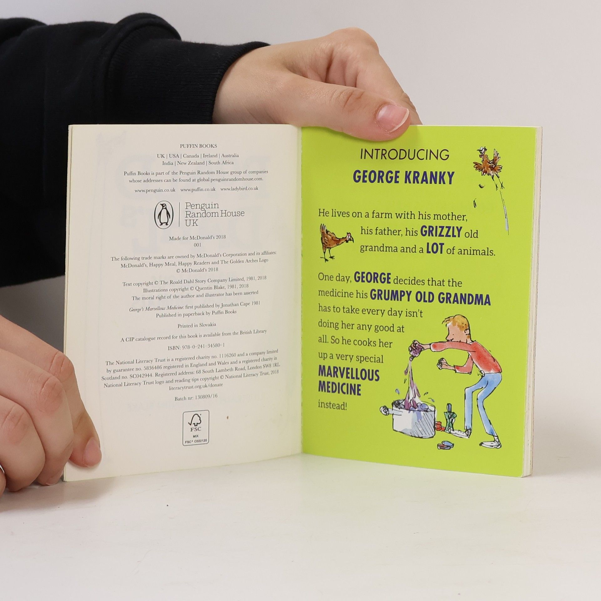 Roald Dahl Marvellous Magical Animals