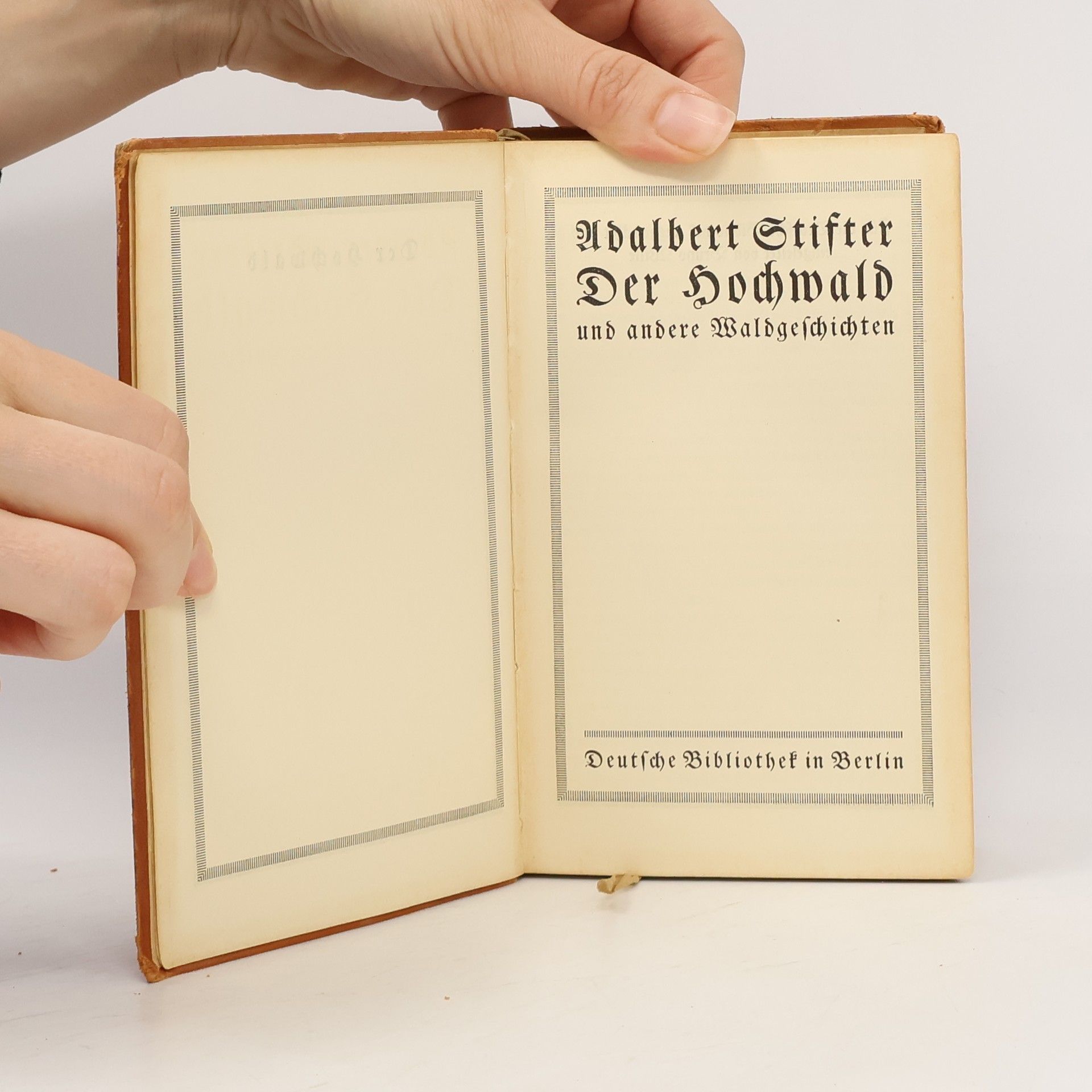Adalbert Stifter Der Hochwald und andere Waldgeschichten