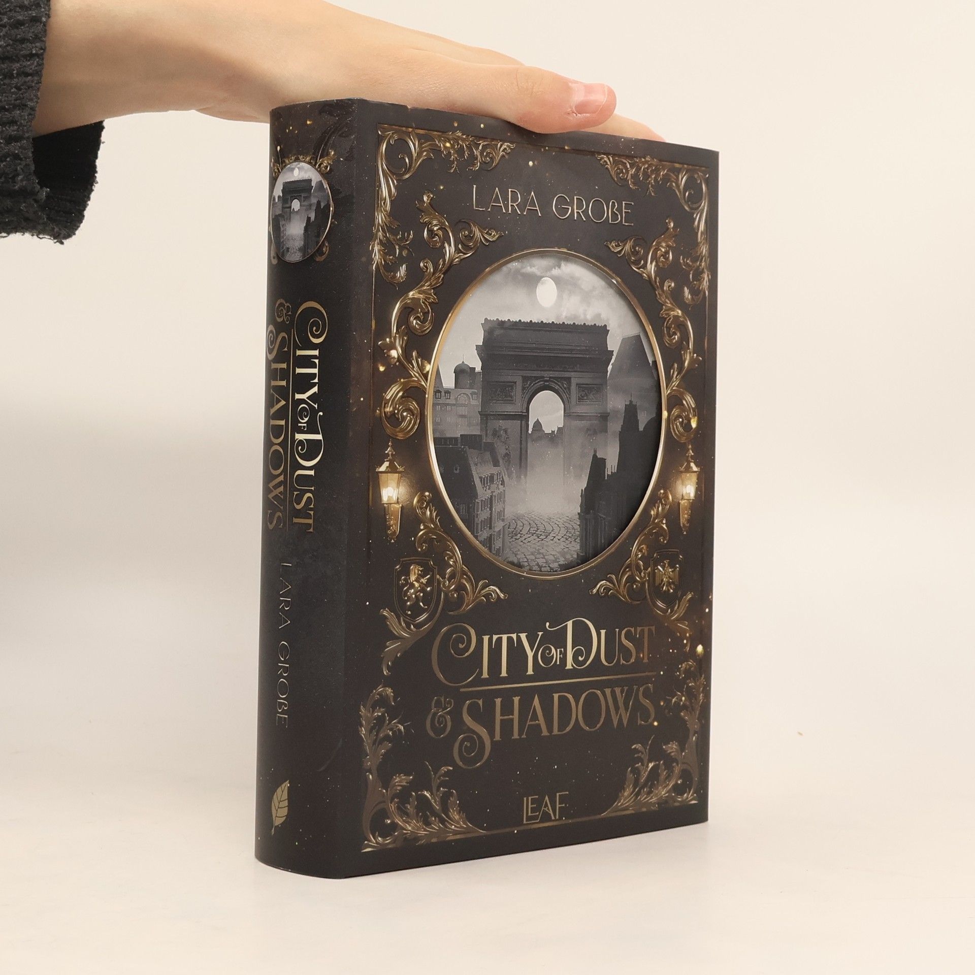 Lara Große City of Dust and Shadows