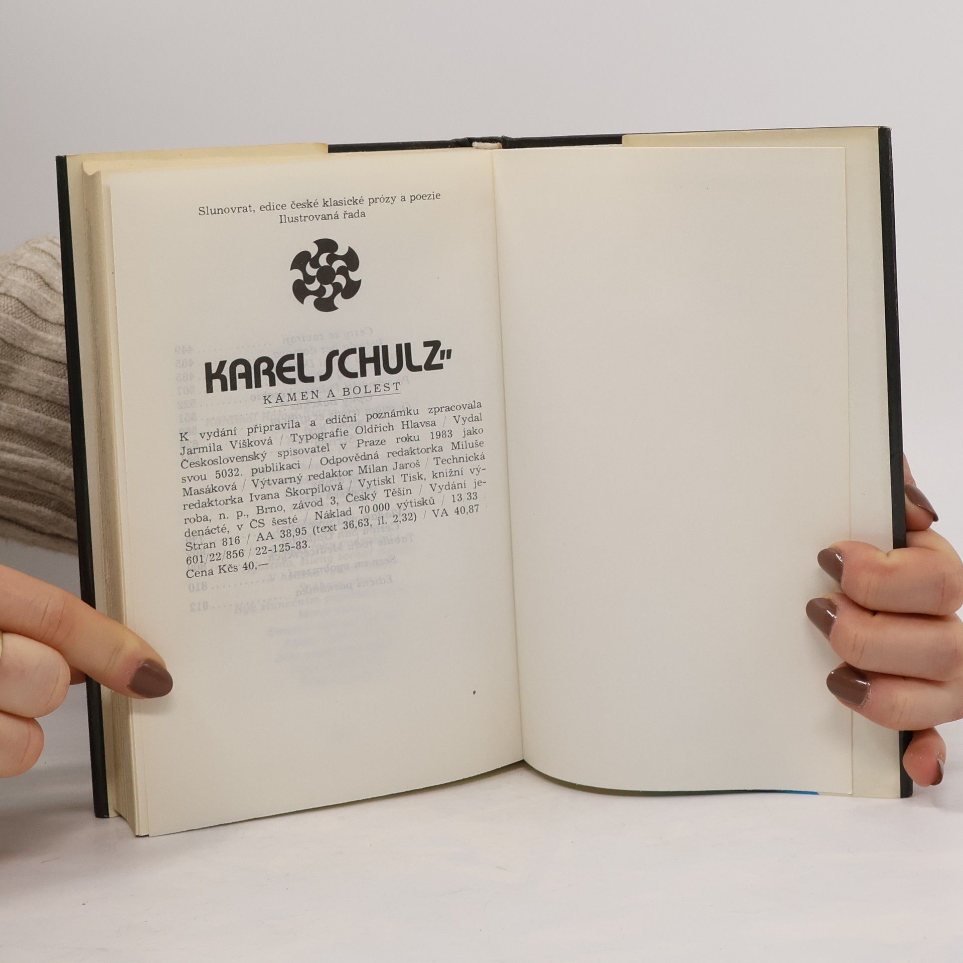 Karel Schulz Kámen a bolest