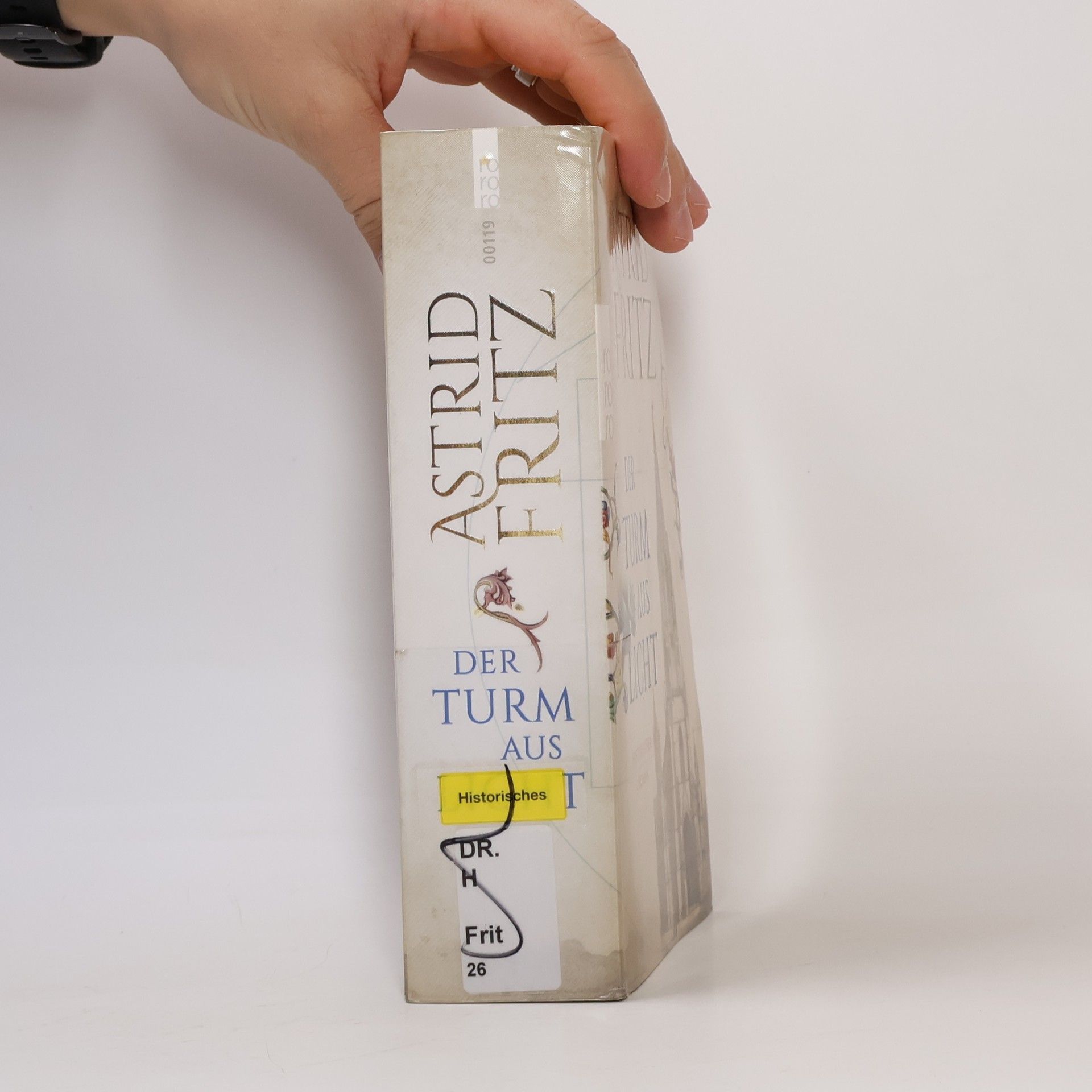 Astrid Fritz Der Turm aus Licht