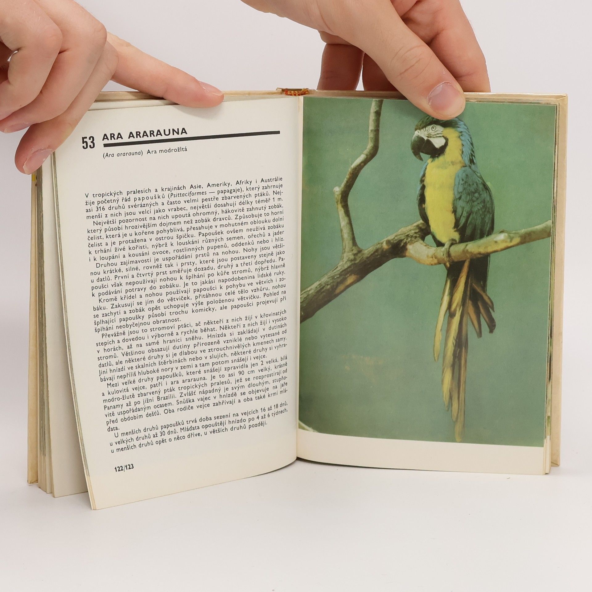 Miroslav Bouchner Kapesní atlas ptáků