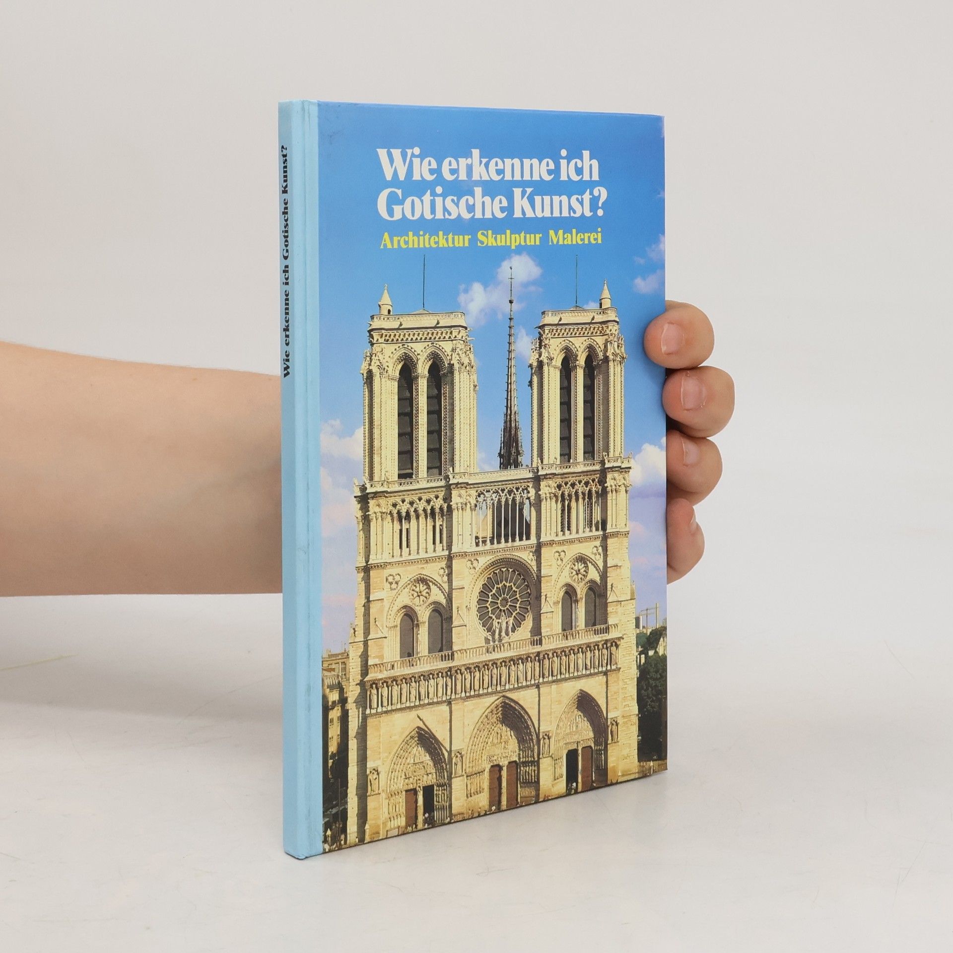 Maria Cristina Gozzoli Wie erkenne ich gotische Kunst?