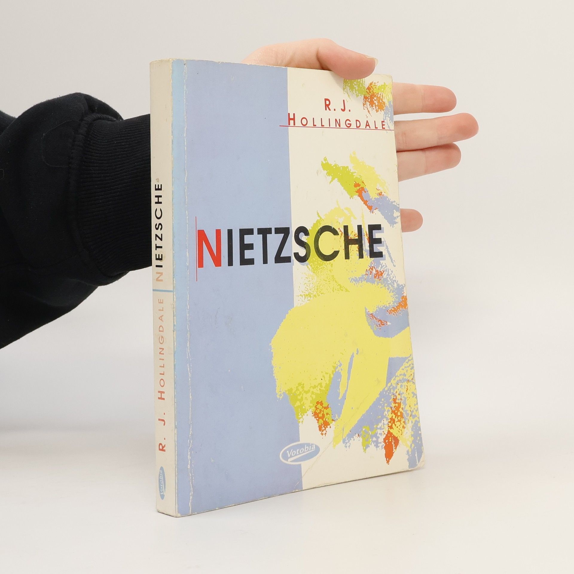 R. J. Hollingdale Nietzsche