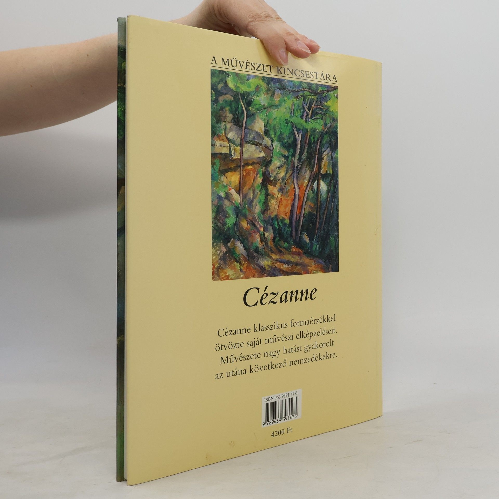 Trewin Copplestone Paul Cézanne