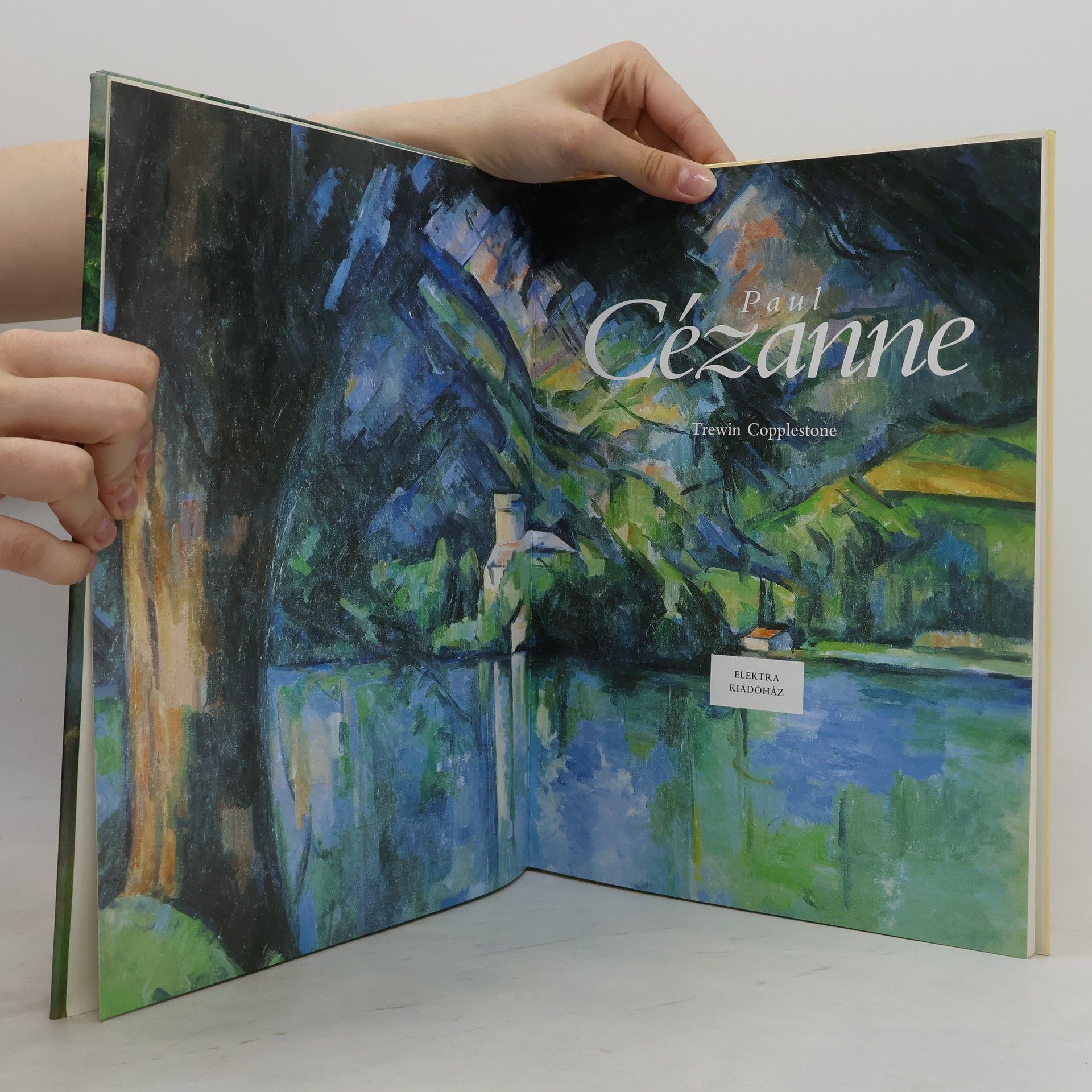 Trewin Copplestone Paul Cézanne