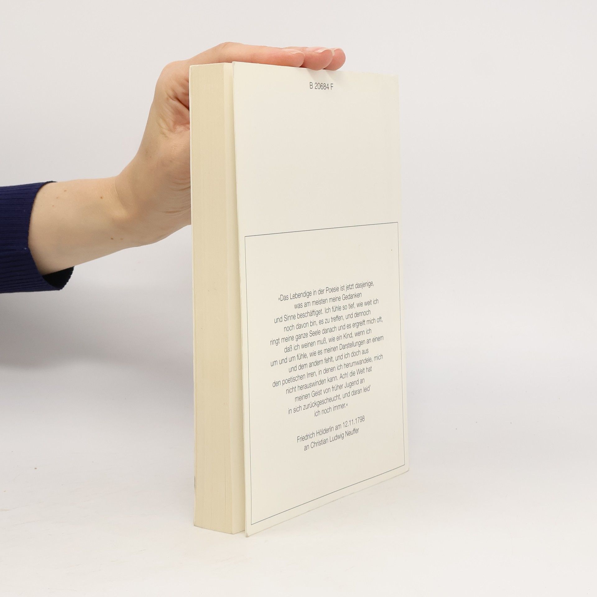 Heinz Ludwig Arnold Text + Kritik - VII/96: Friedrich Hölderlin Sonderband
