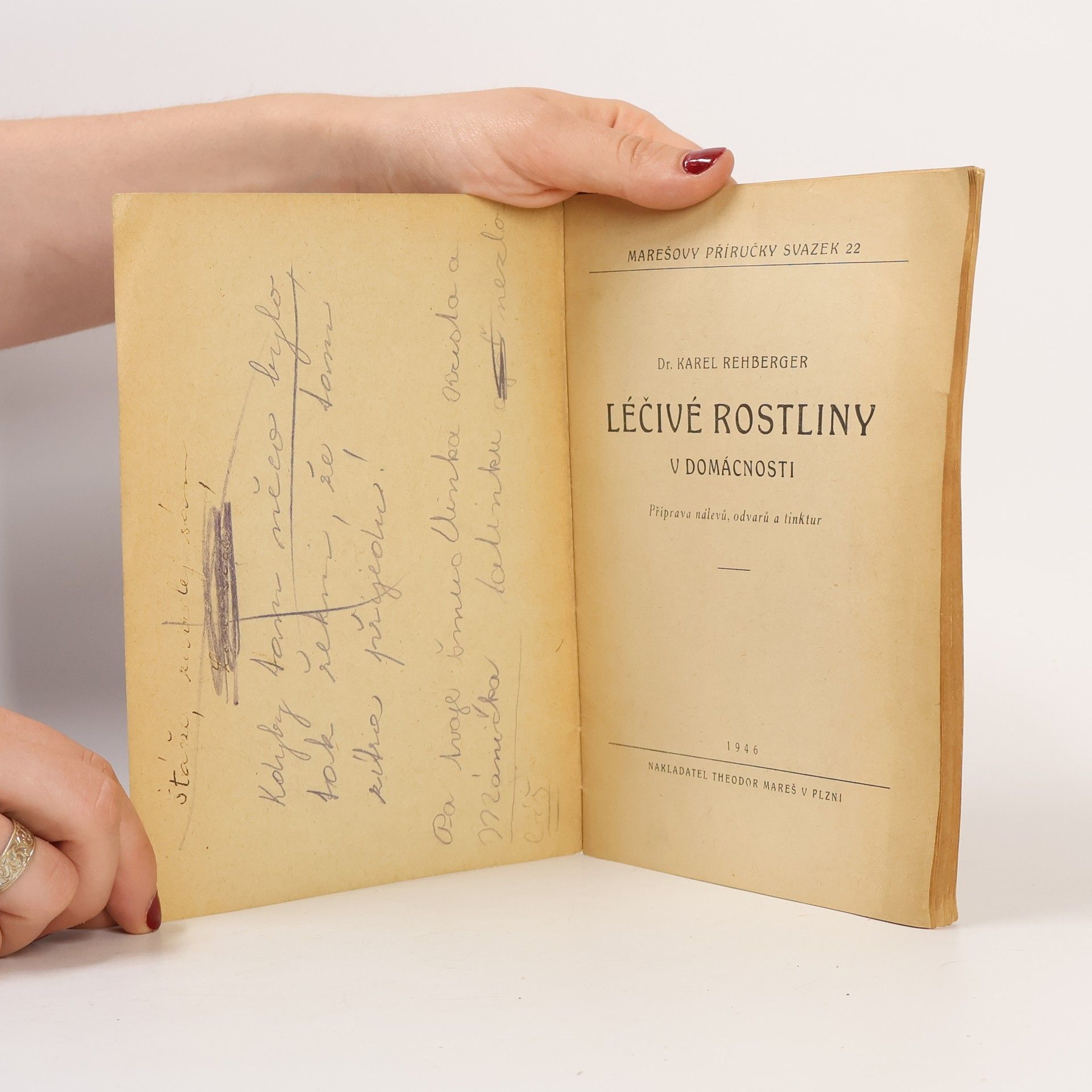 Karel Rehberger Léčivé rostliny v domácnosti