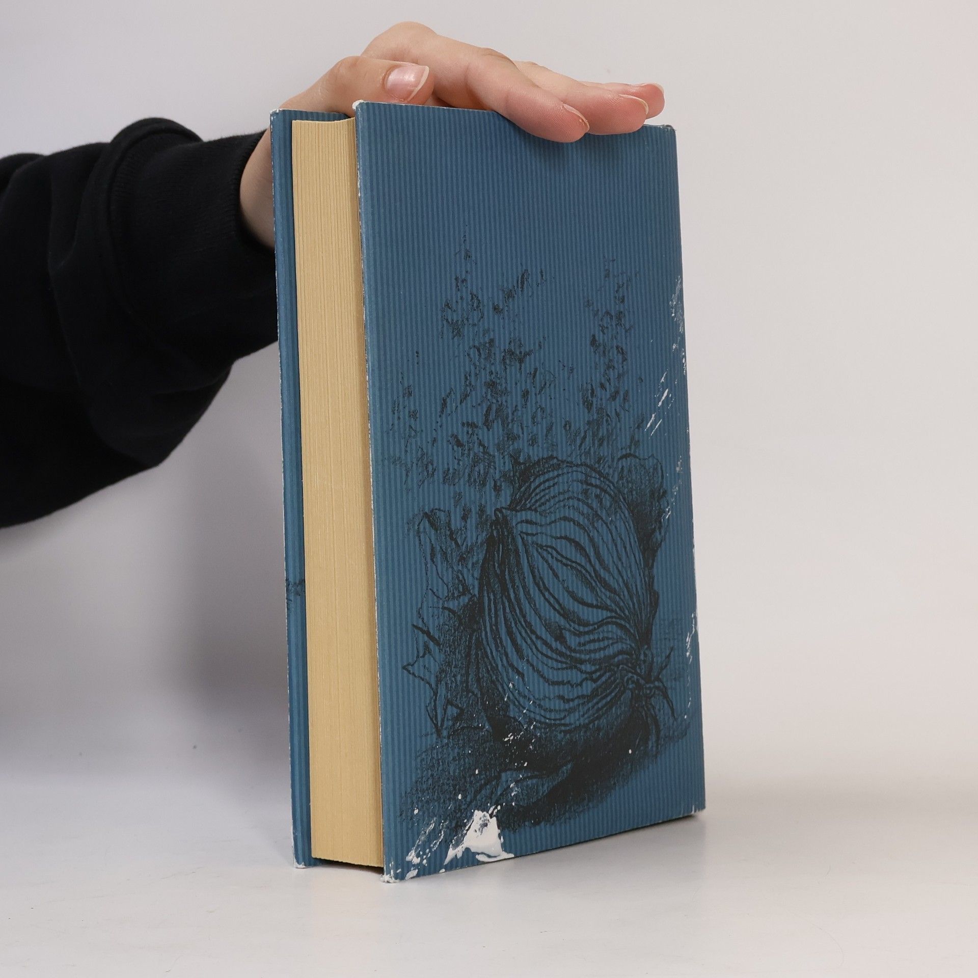 Günter Grass Při loupání cibule