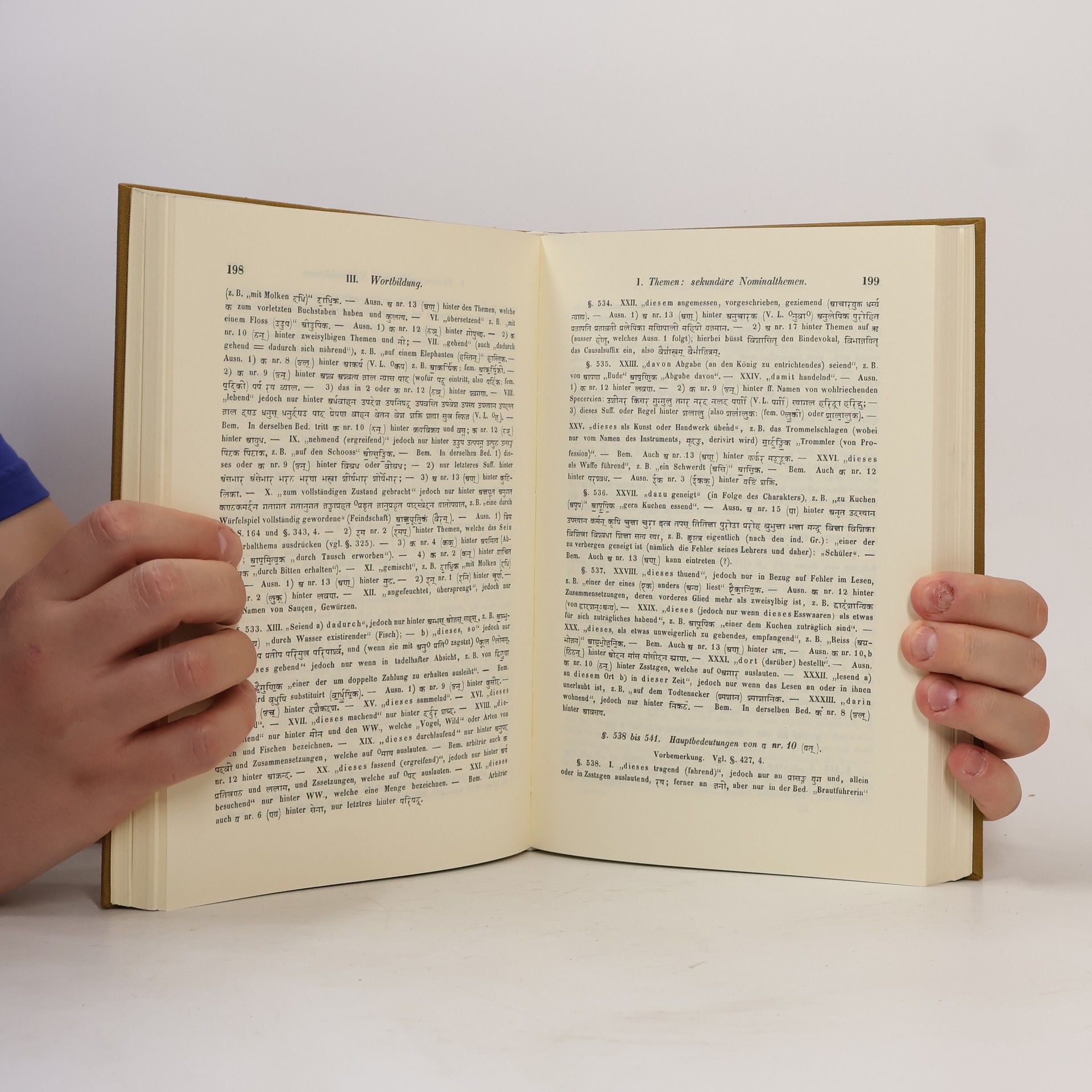 Theodor Benfey Handbuch der Sanskritsprache 1