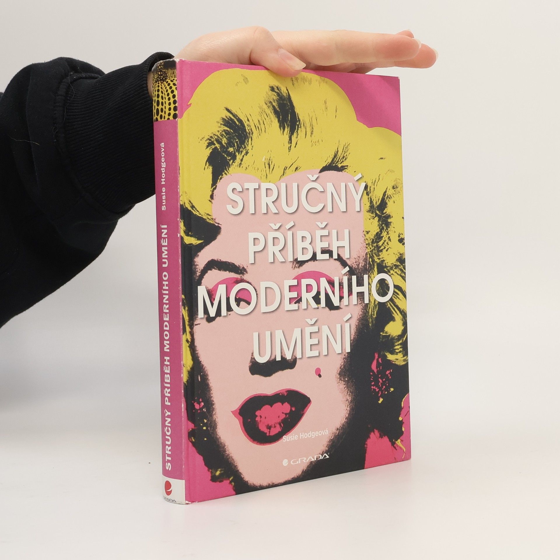 Susie Hodge Stručný příběh moderního umění