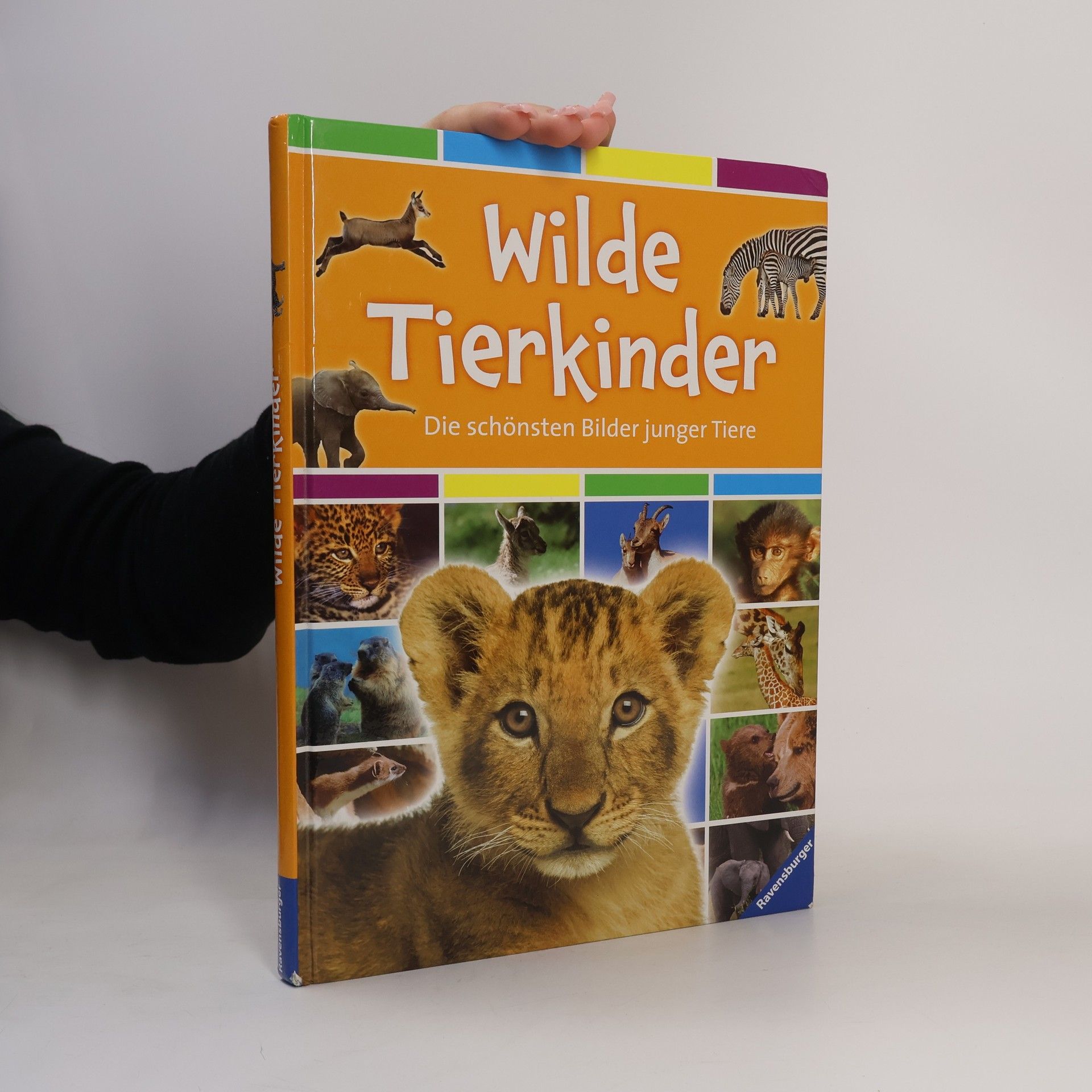 Carine Mayo Wilde Tierkinder